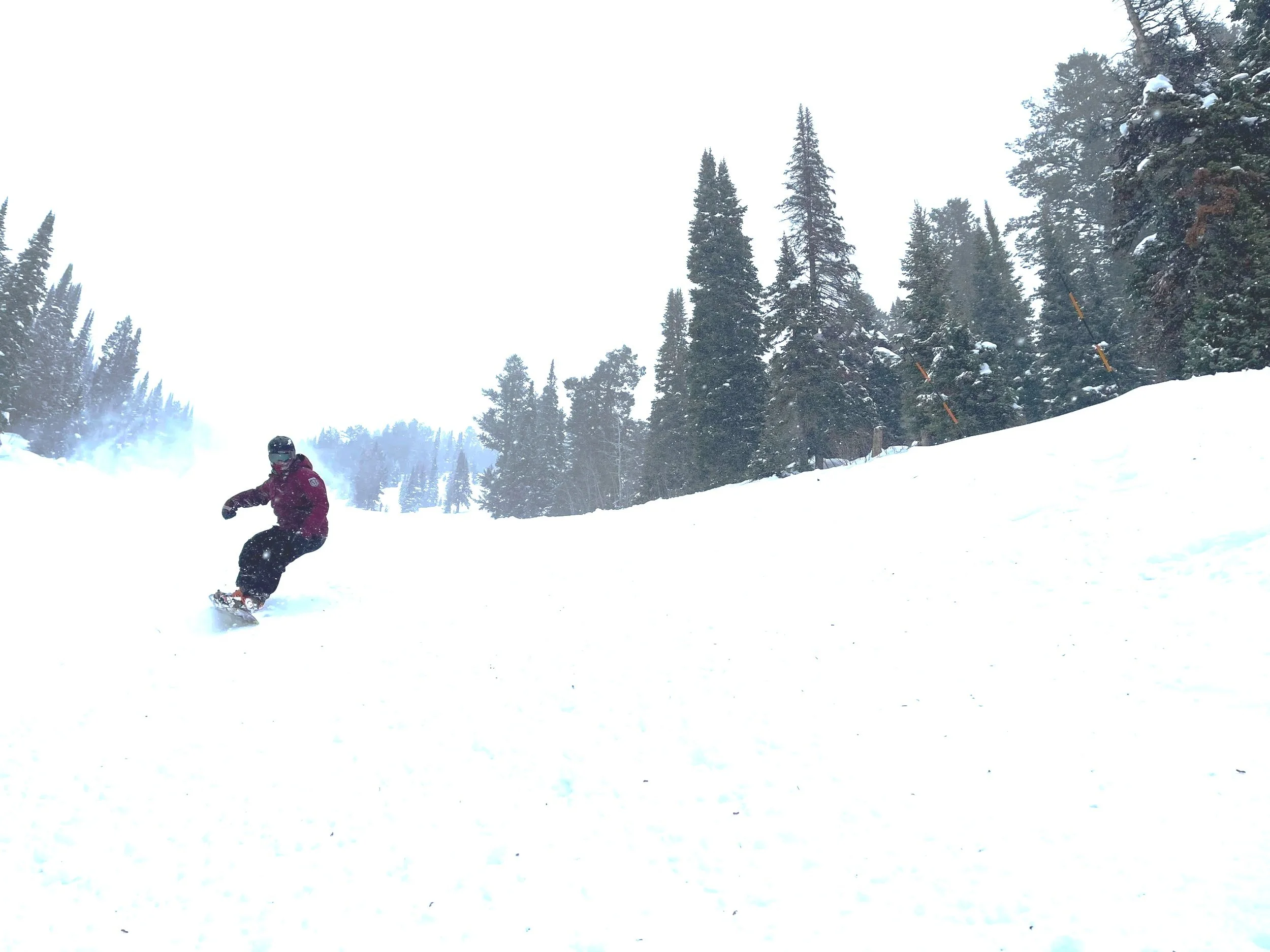 Gear Review: Why I Use onX Backcountry for Every Mission