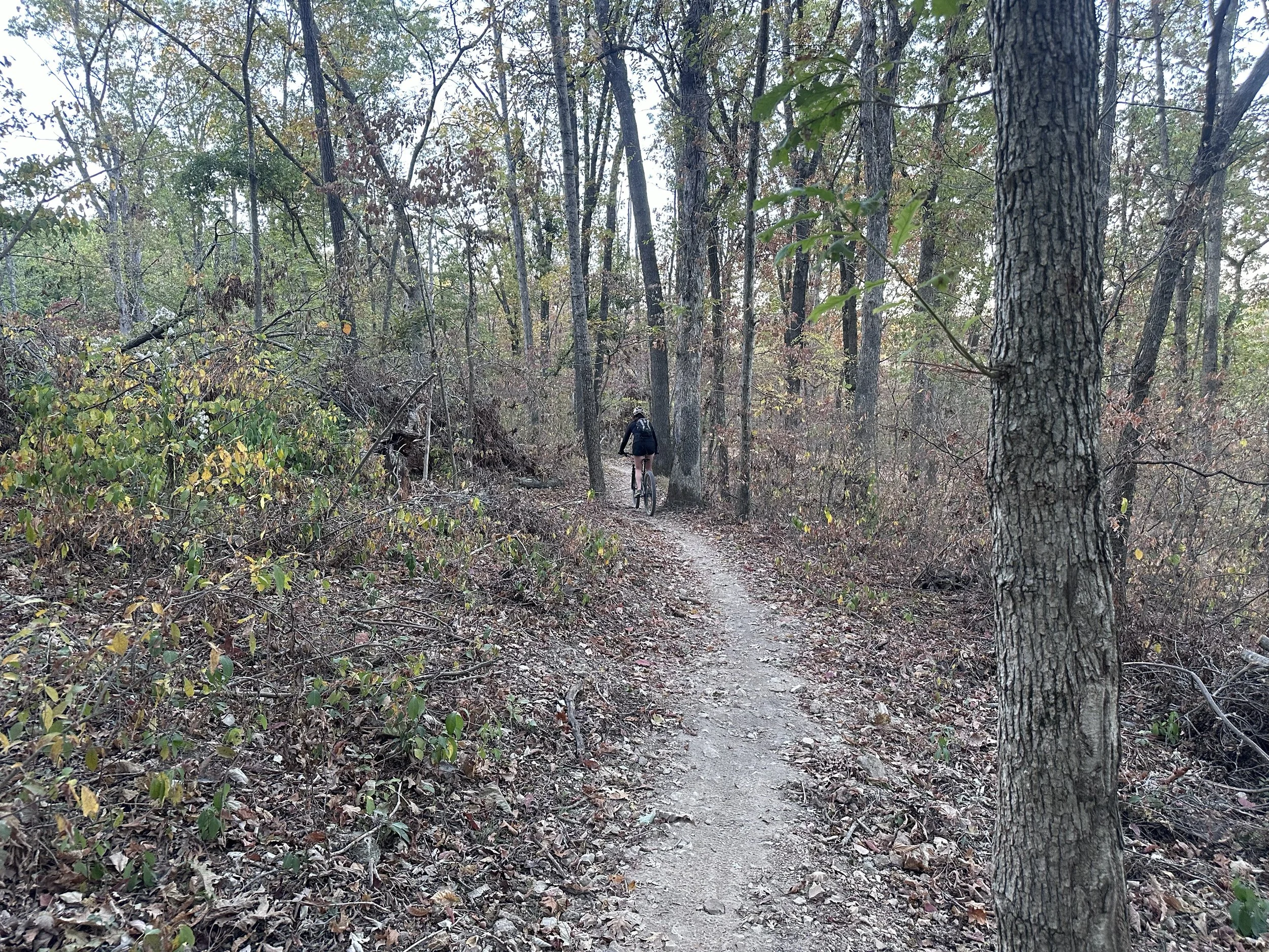 Camping at Coler Mountain Bike Preserve