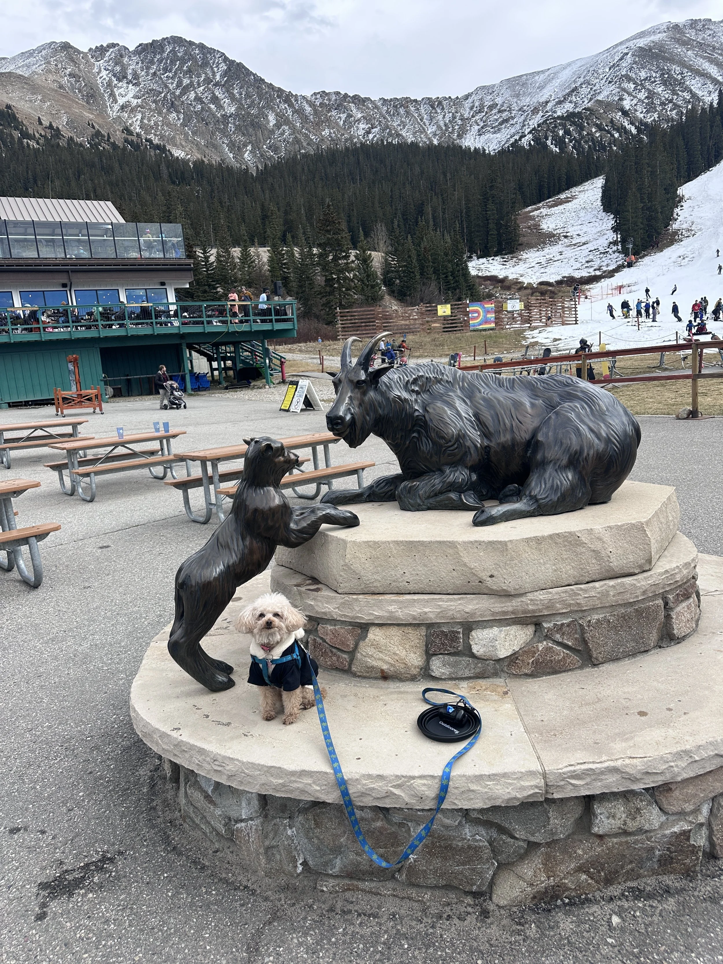 Vanlife in Colorado | Saying Goodbye, Summit County, and Early Season Snowboarding