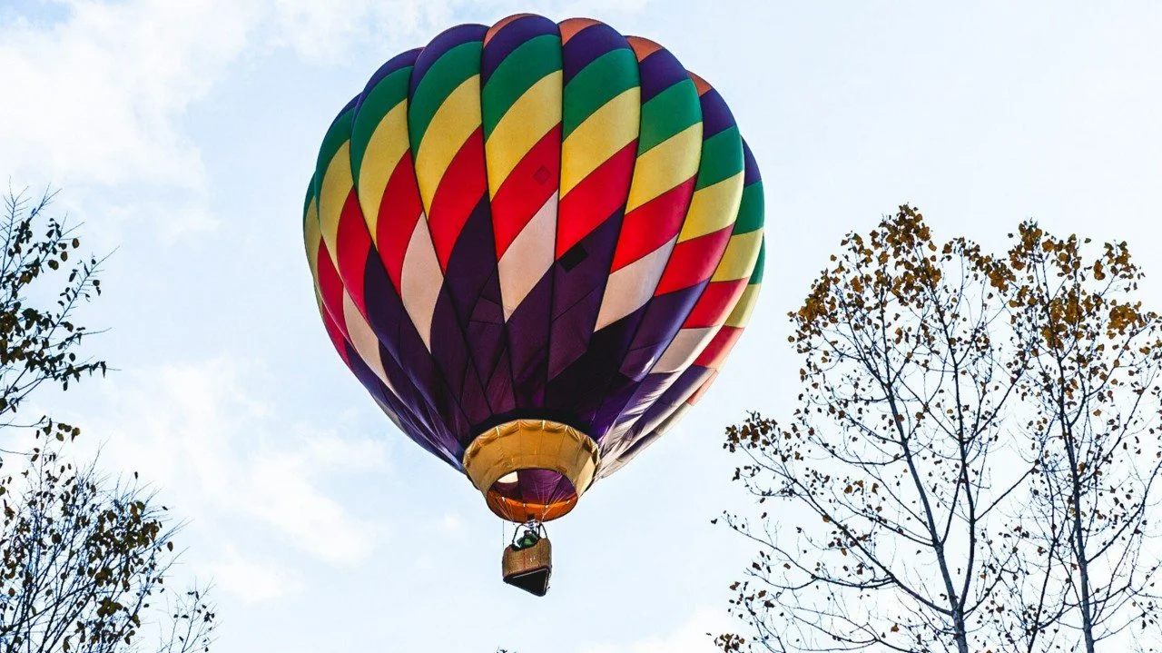 Introducing Burke Hammons Consulting