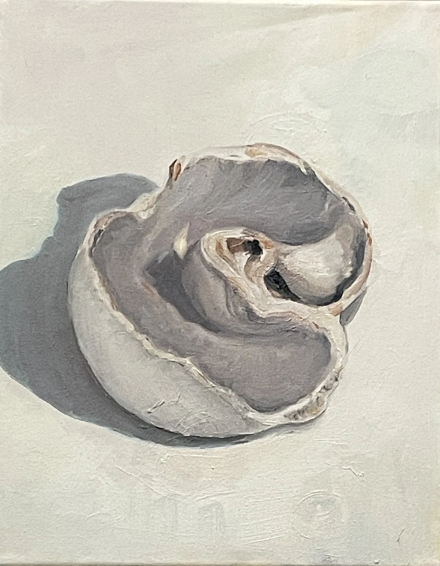 Moonsnail Shell Oil Painting $175