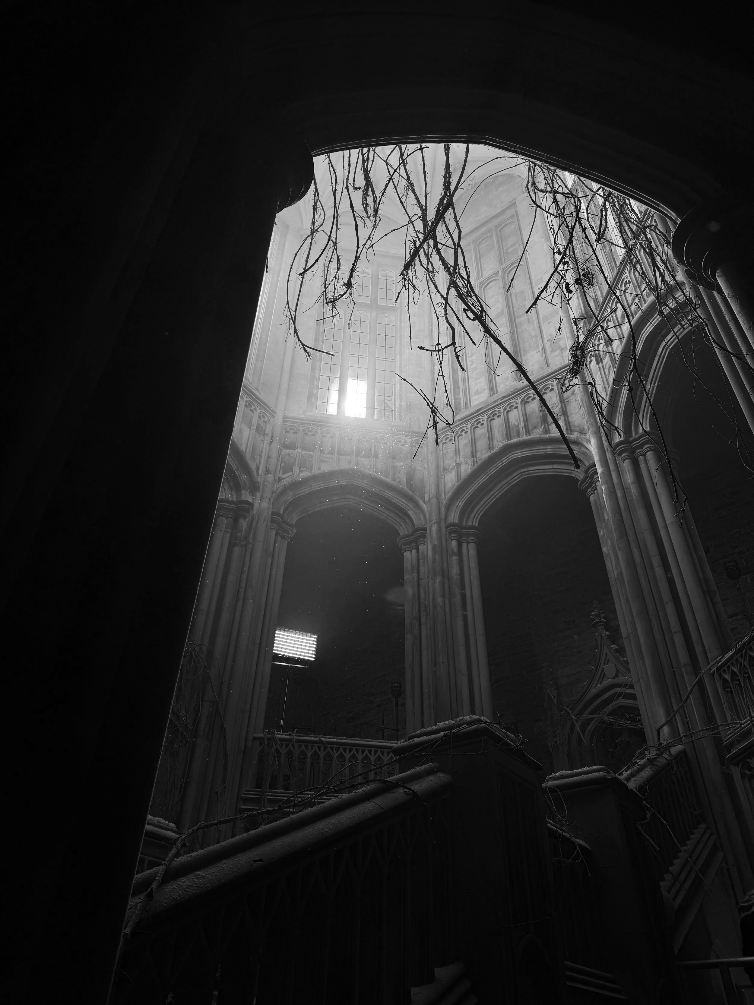 Black and white photo of an abandoned cathedral interior with tall arches, large windows, and vines hanging from the ceiling, with light streaming in from above.