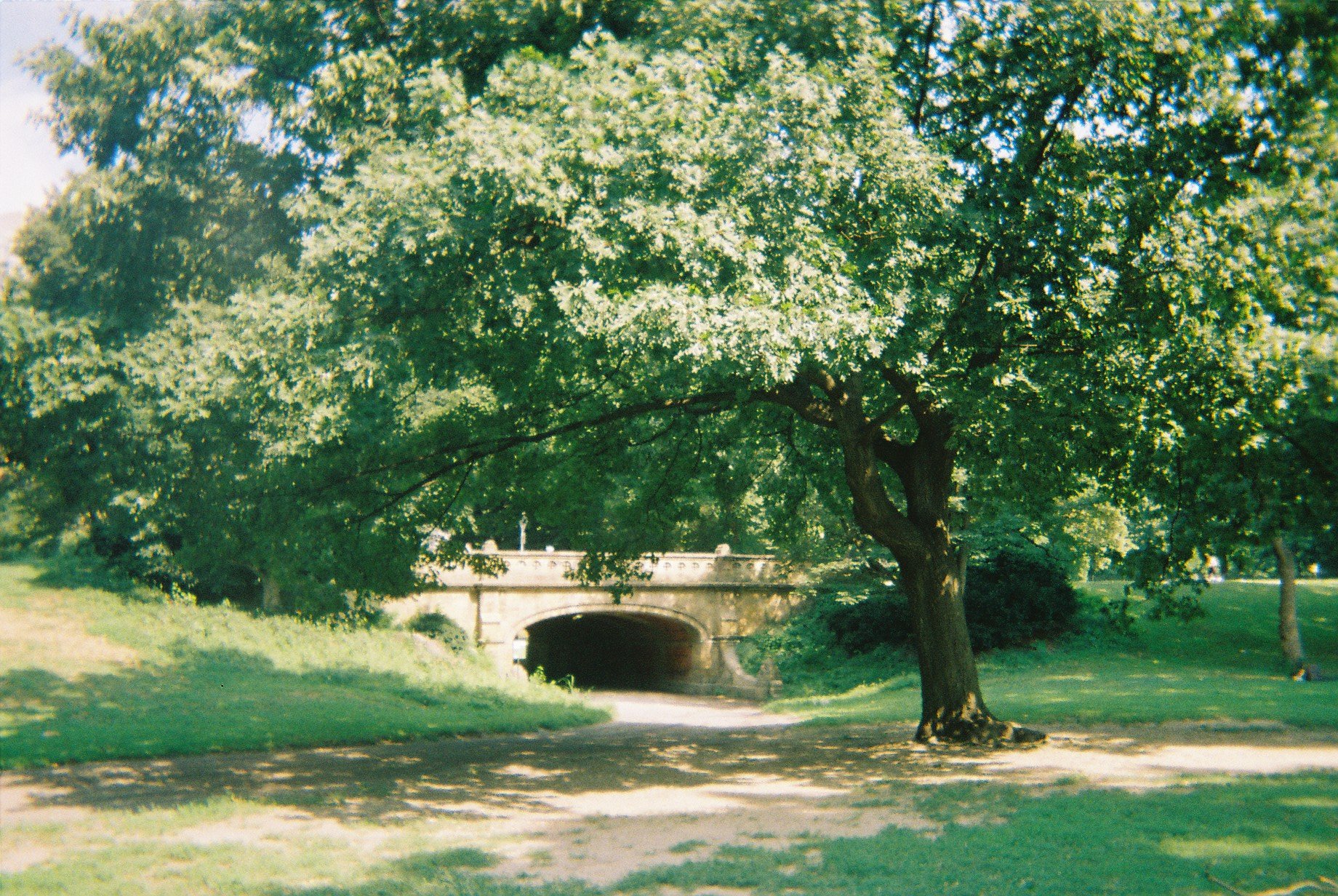 A park scene featuring a large tree with lush green leaves, shaded ground, and a stone bridge with an archway in the background, under a clear sky.