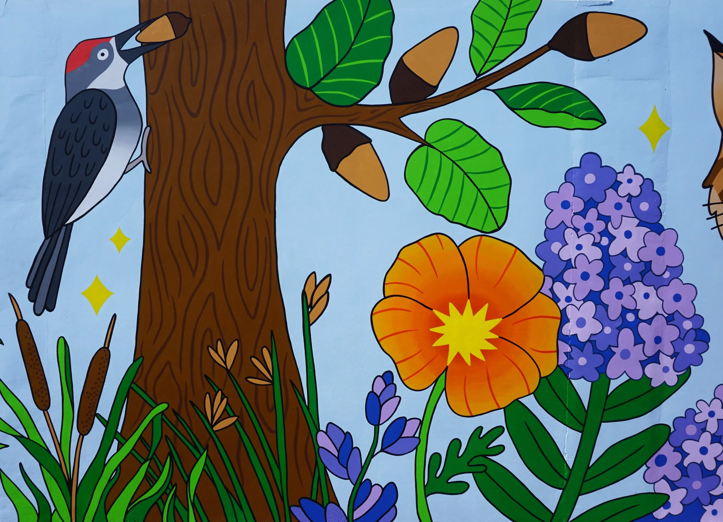 7_Acorn_Woodpecker_detail (1).jpg