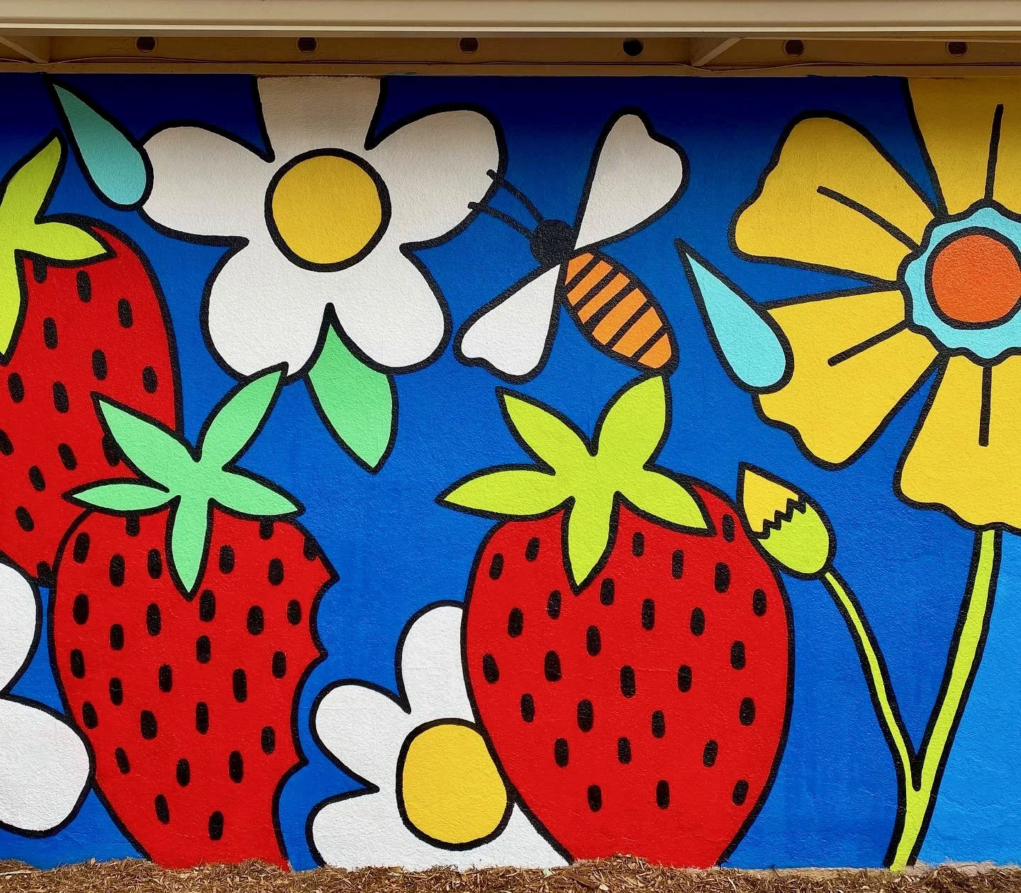 C99ECC33-6226-461A-836D-EB293BD28866 (1).jpeg