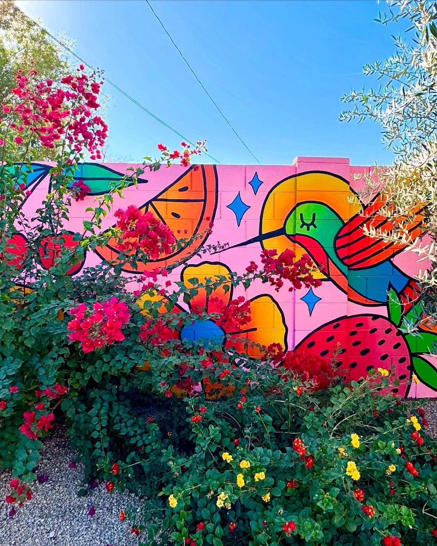 F8F11D7F-3335-446E-A451-1D85FFB8F1E0 (1).jpeg