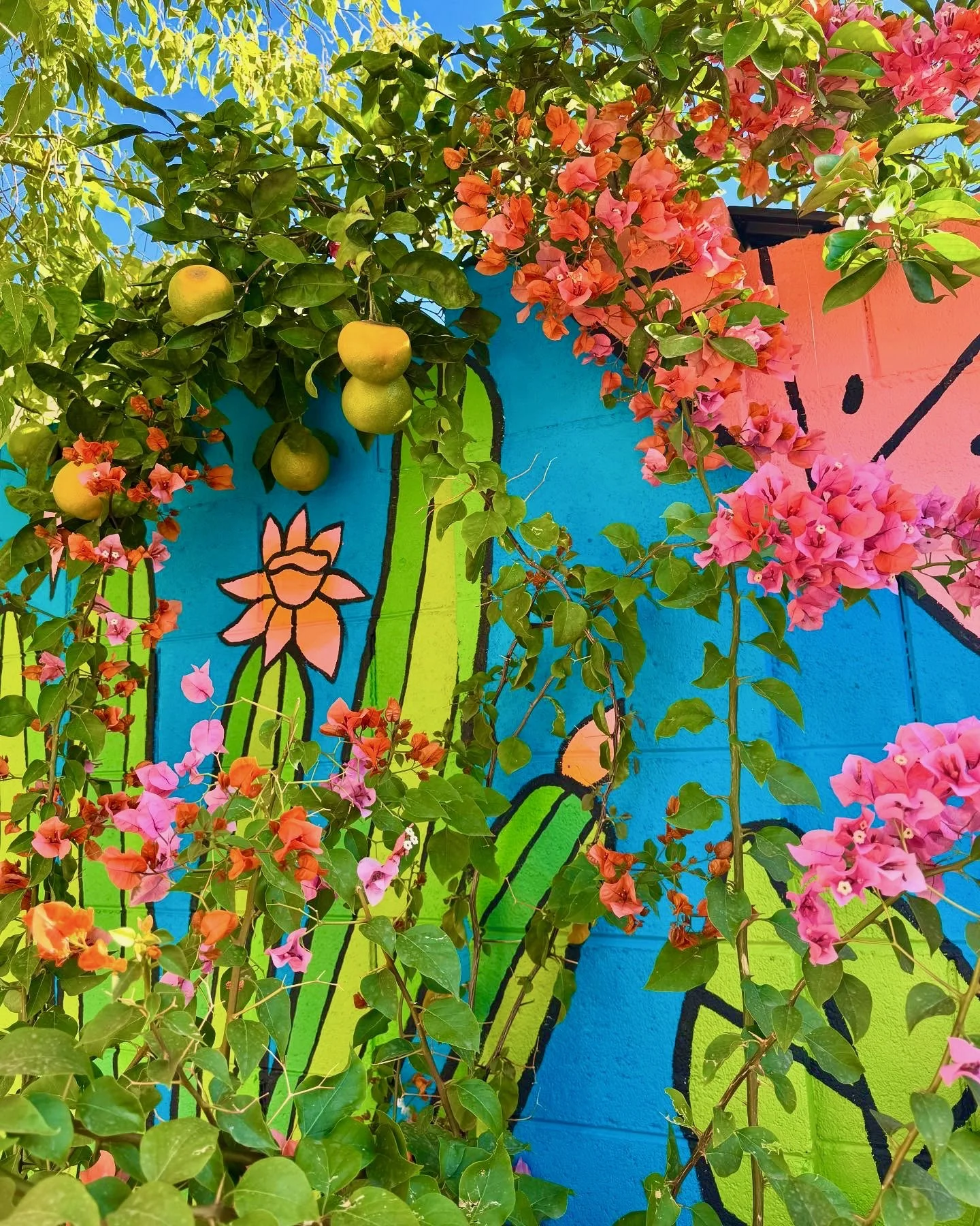 BDB22BD5-C43B-44C0-B885-472E56BD20C3 (1).jpeg