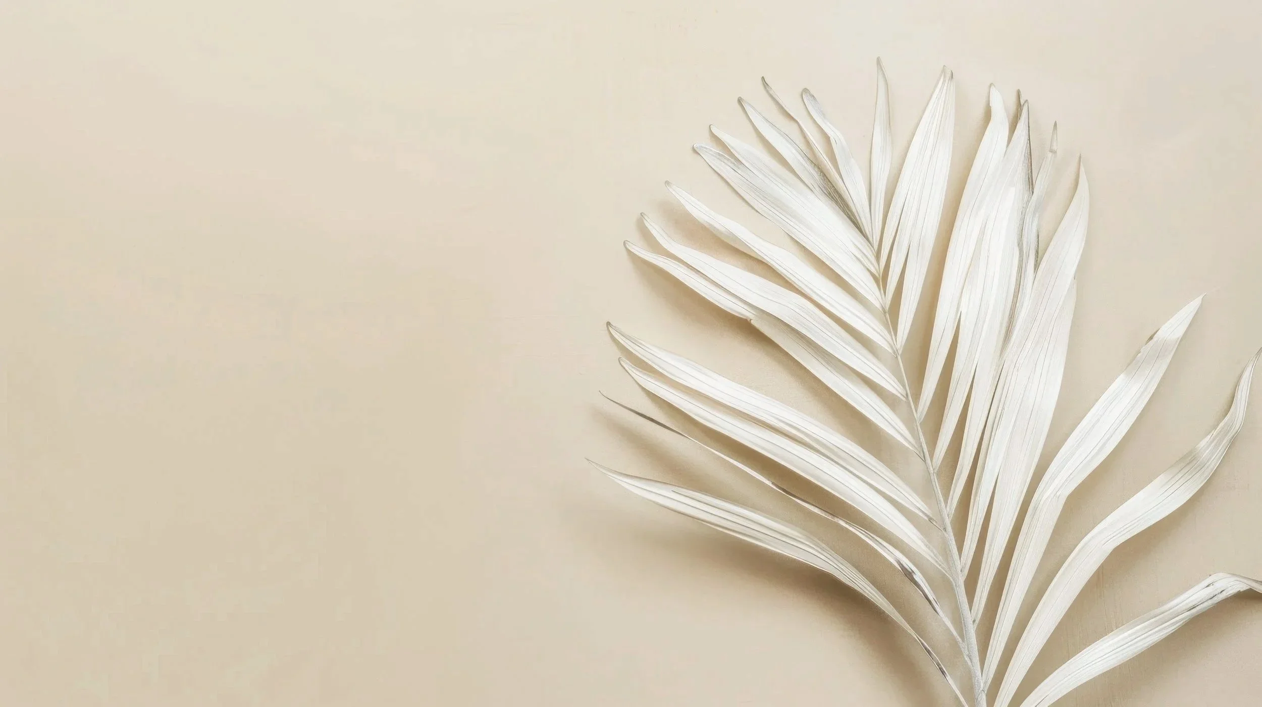 A white dried palm leaf on a beige background