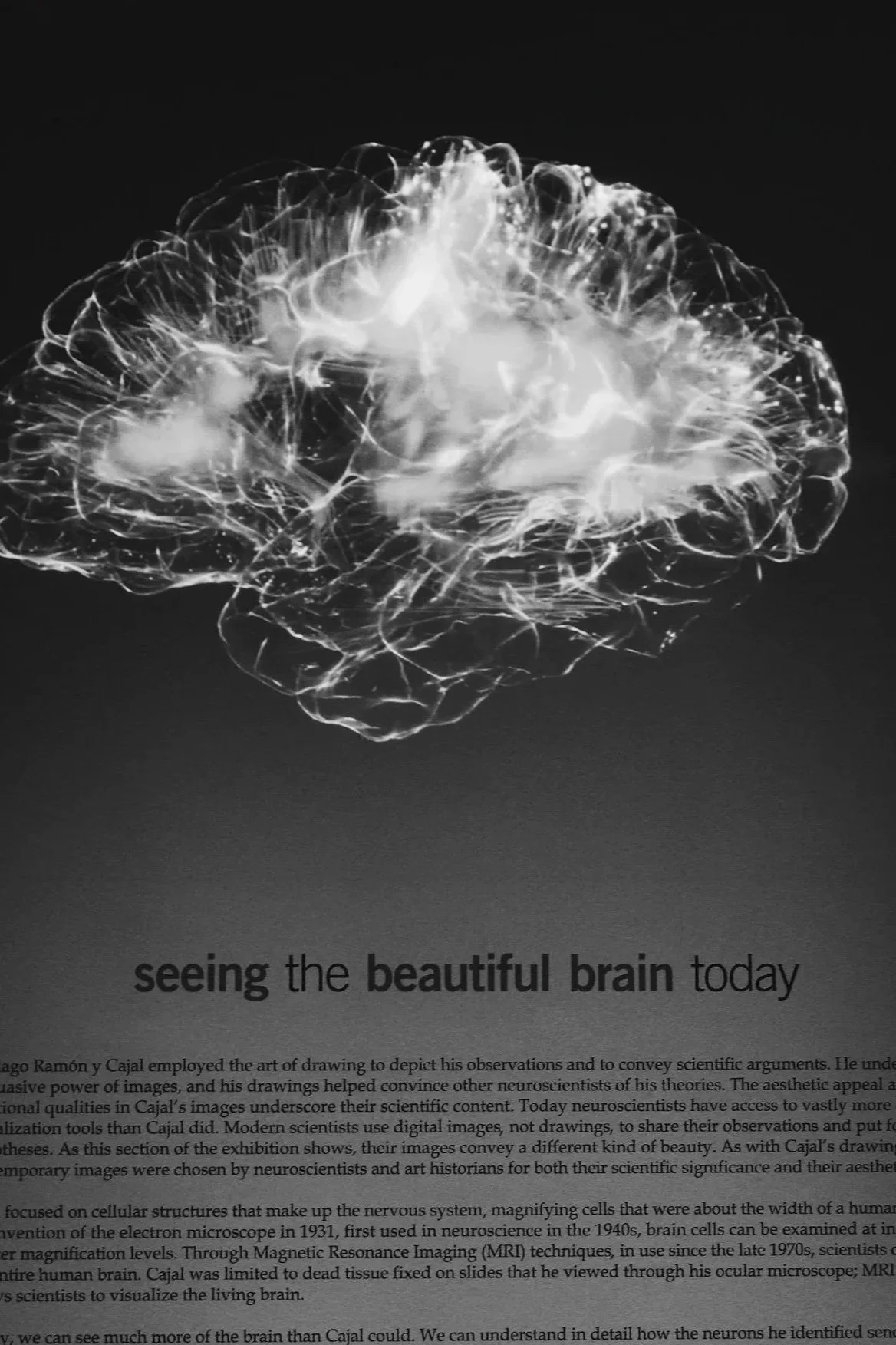 Seeing the beautiful brain illustration on bookpage