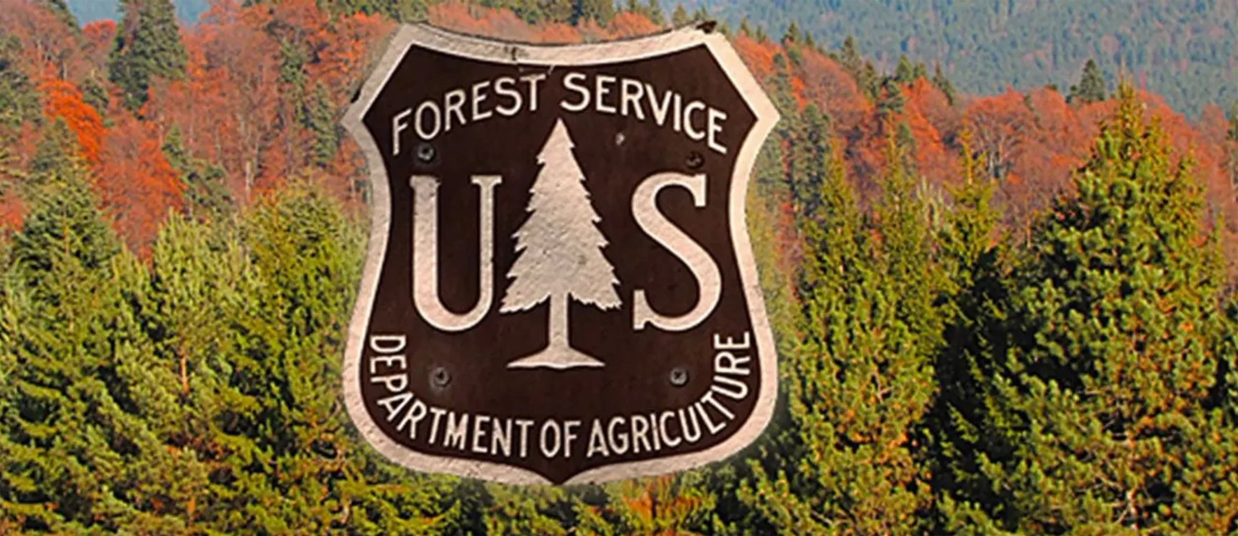 From the Vault: The U.S. Forest Service...Headed For Extinction Or Revitalization?