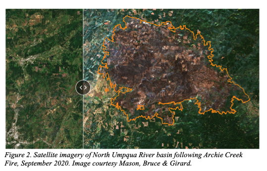 A GROWING SEA OF SNAGS 