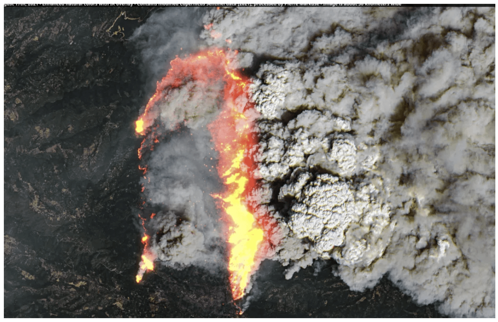 License To Burn: Wildfire As the Ultimate Private-Public Partnership (Part One)