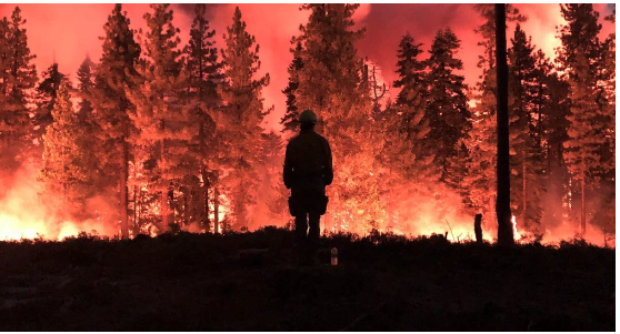 License to Burn: Wildfire as the Ultimate Public-Private Partnership (Part Two)