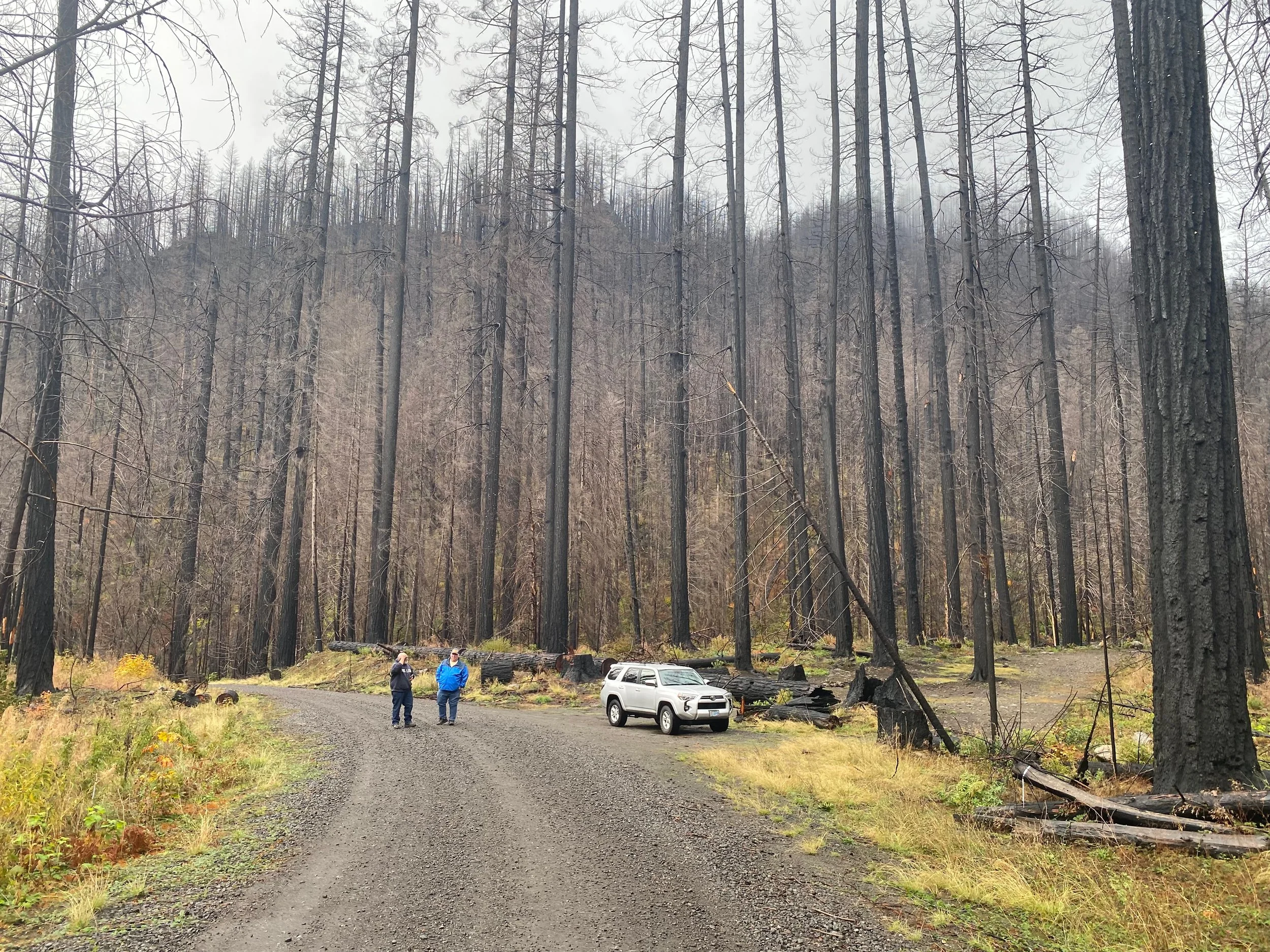 The 2022 Cedar Creek Burn &amp; The 1897 Organic Act