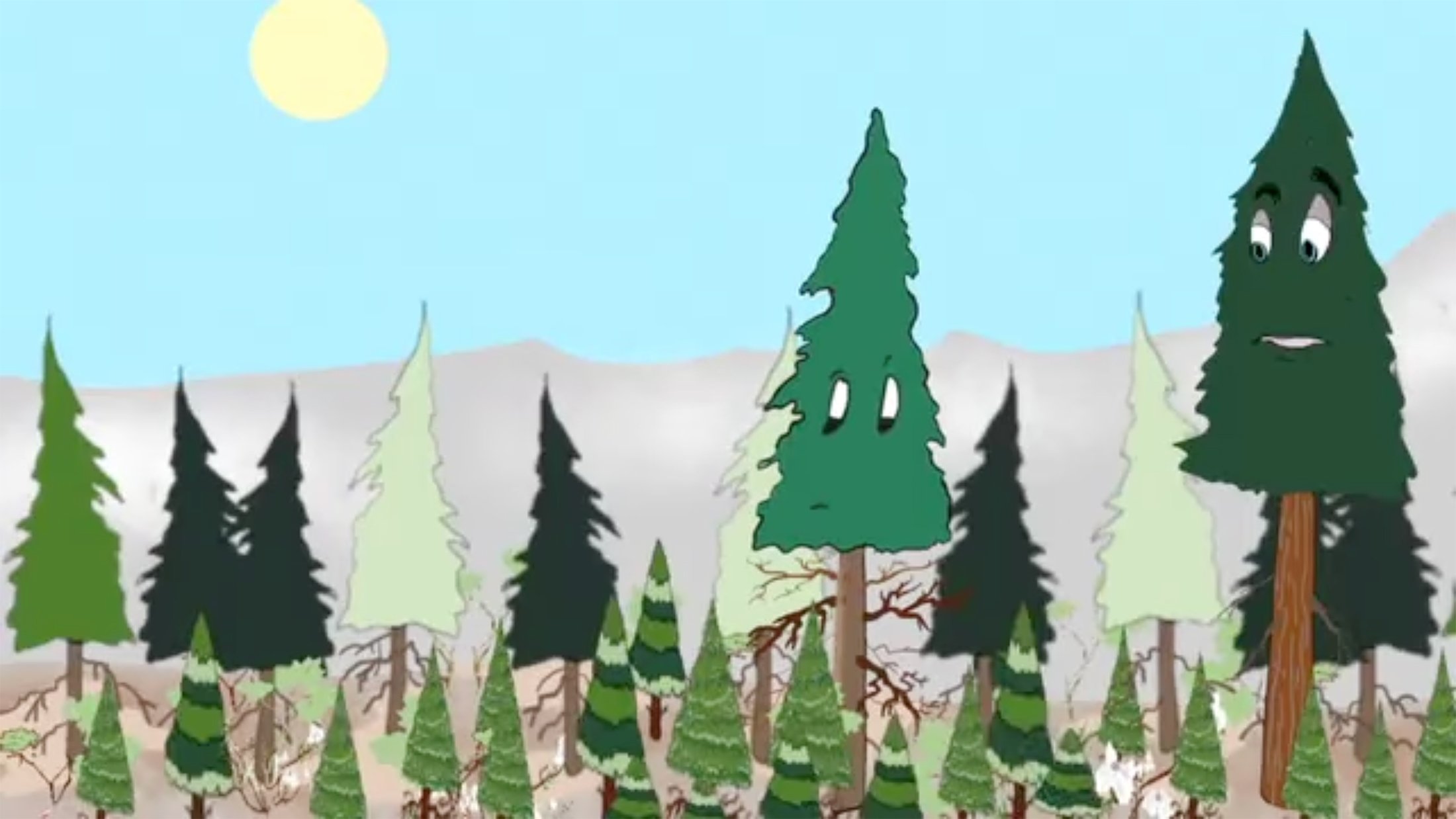 Forest Under Stress: The Video