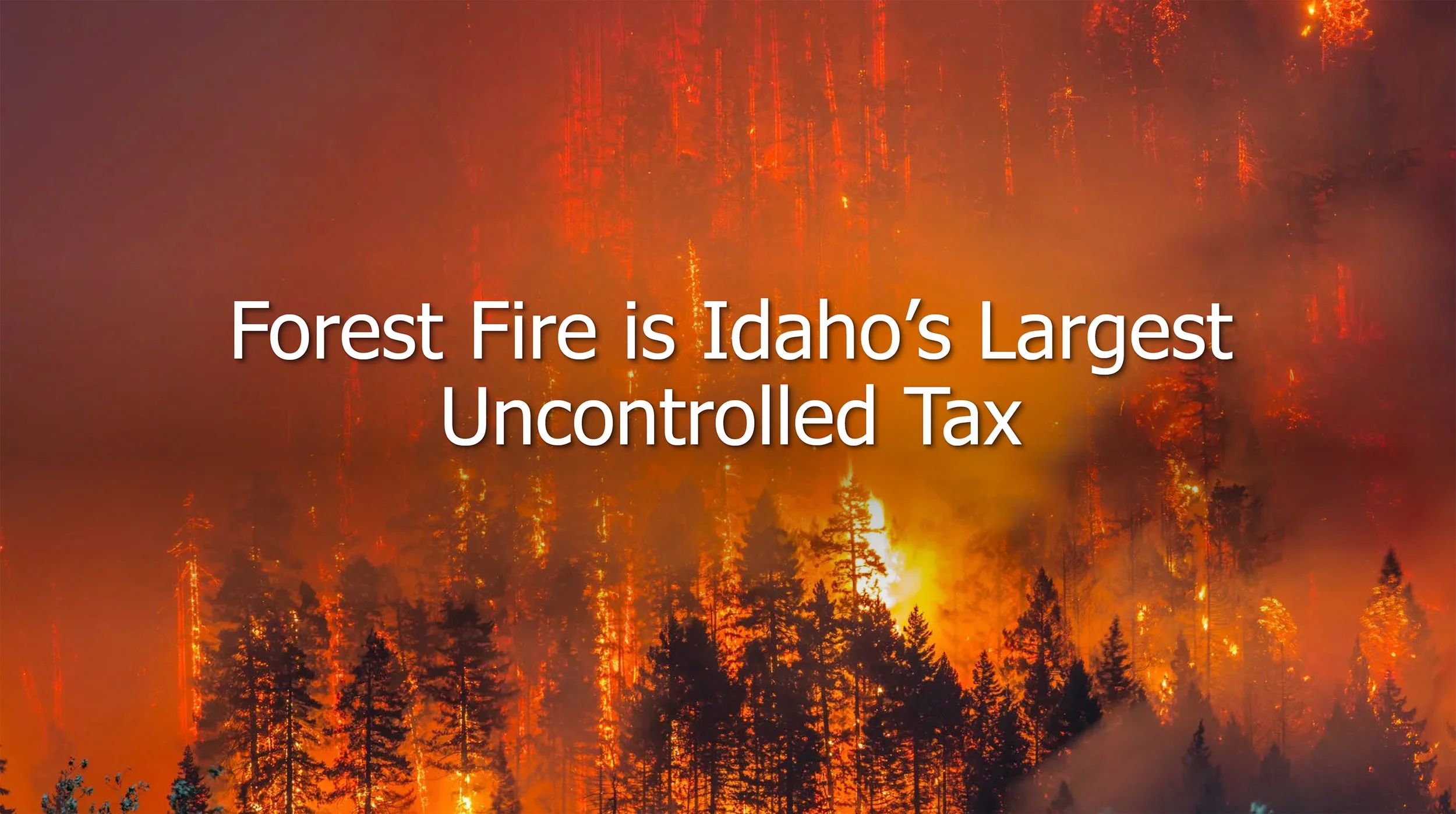 Forest Fire Is Idaho's Largest Uncontrolled Tax