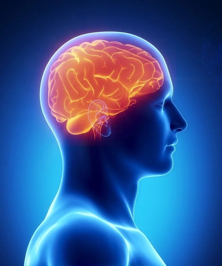 Brain Chemistry of a Concussion