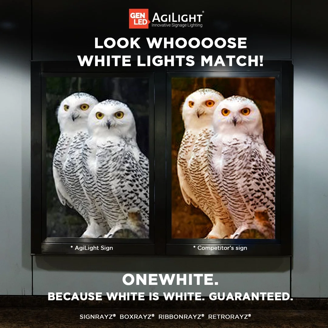 Genled Acolyte_One white_Ig.jpg