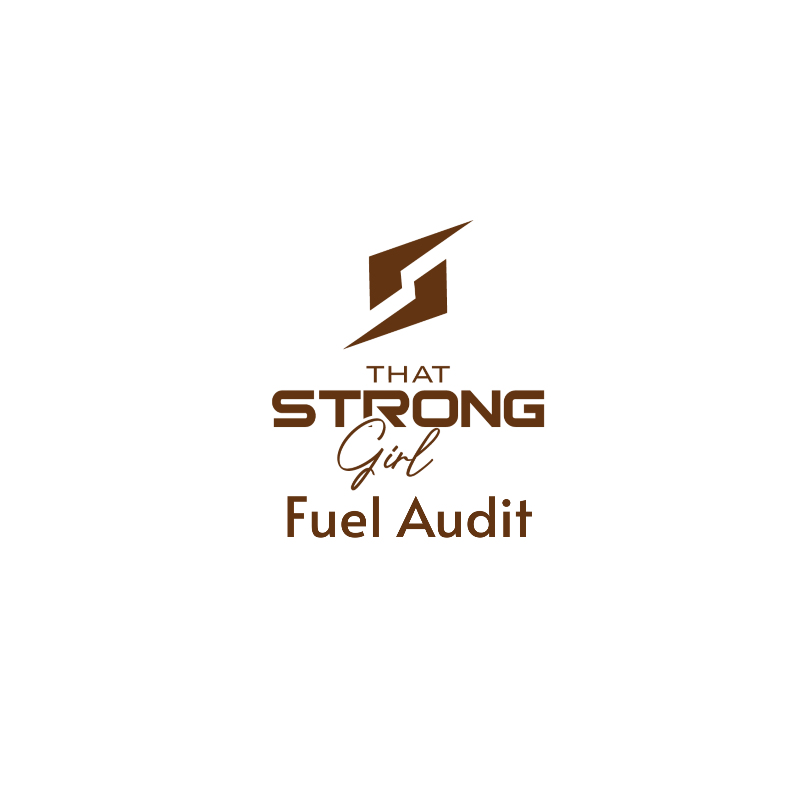 TSG+Fuel+Audit.png