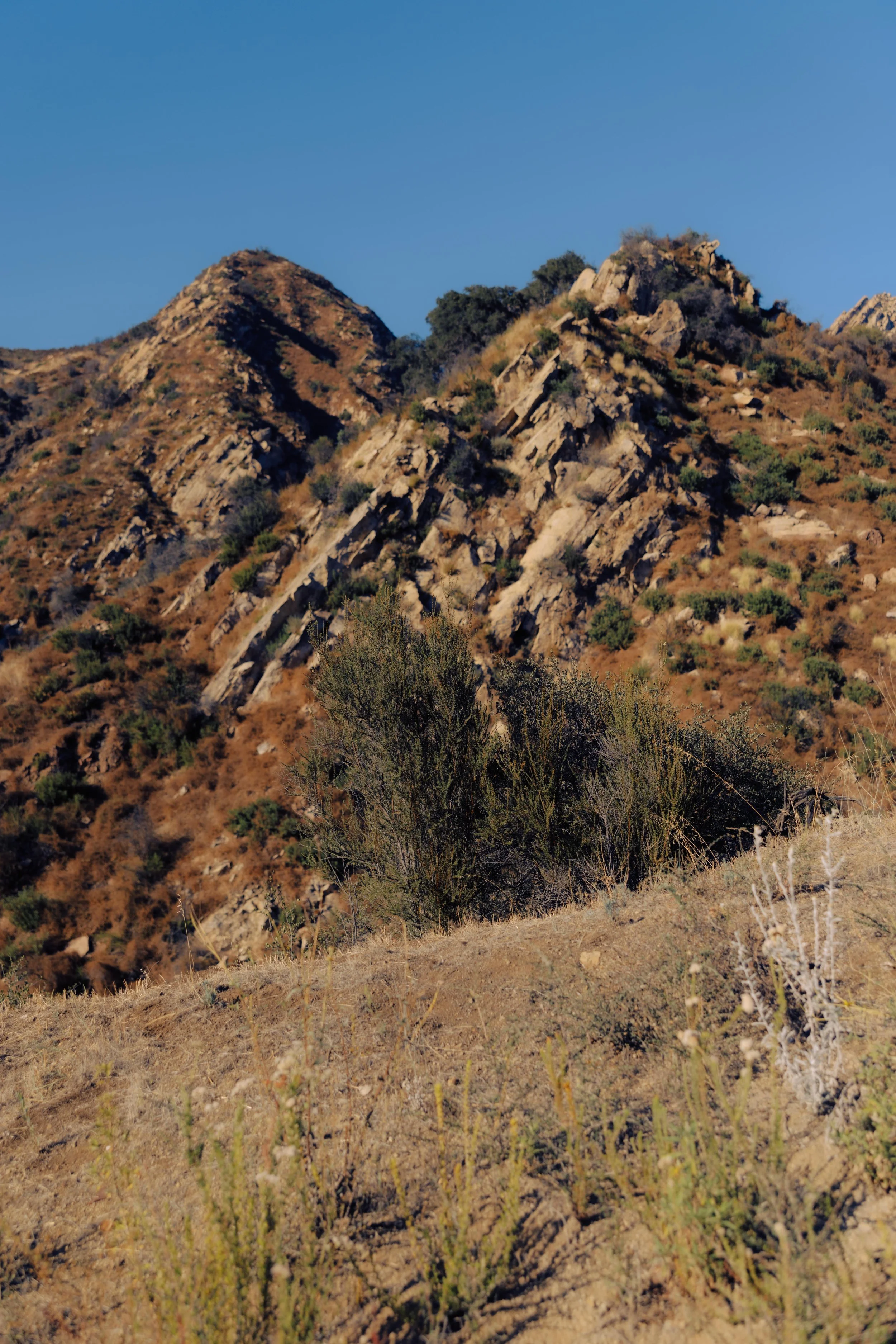 Distant view of rugged desert mountains with sparse vegetation under a clear blue sky.
