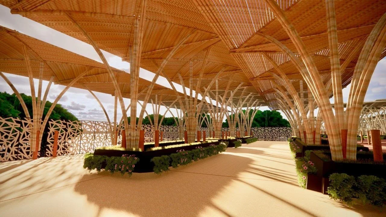 Mangrove Project.jpg