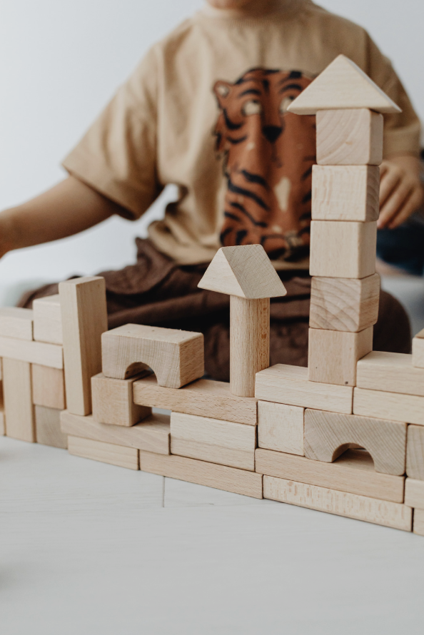 Agency Support + RBT Supervision