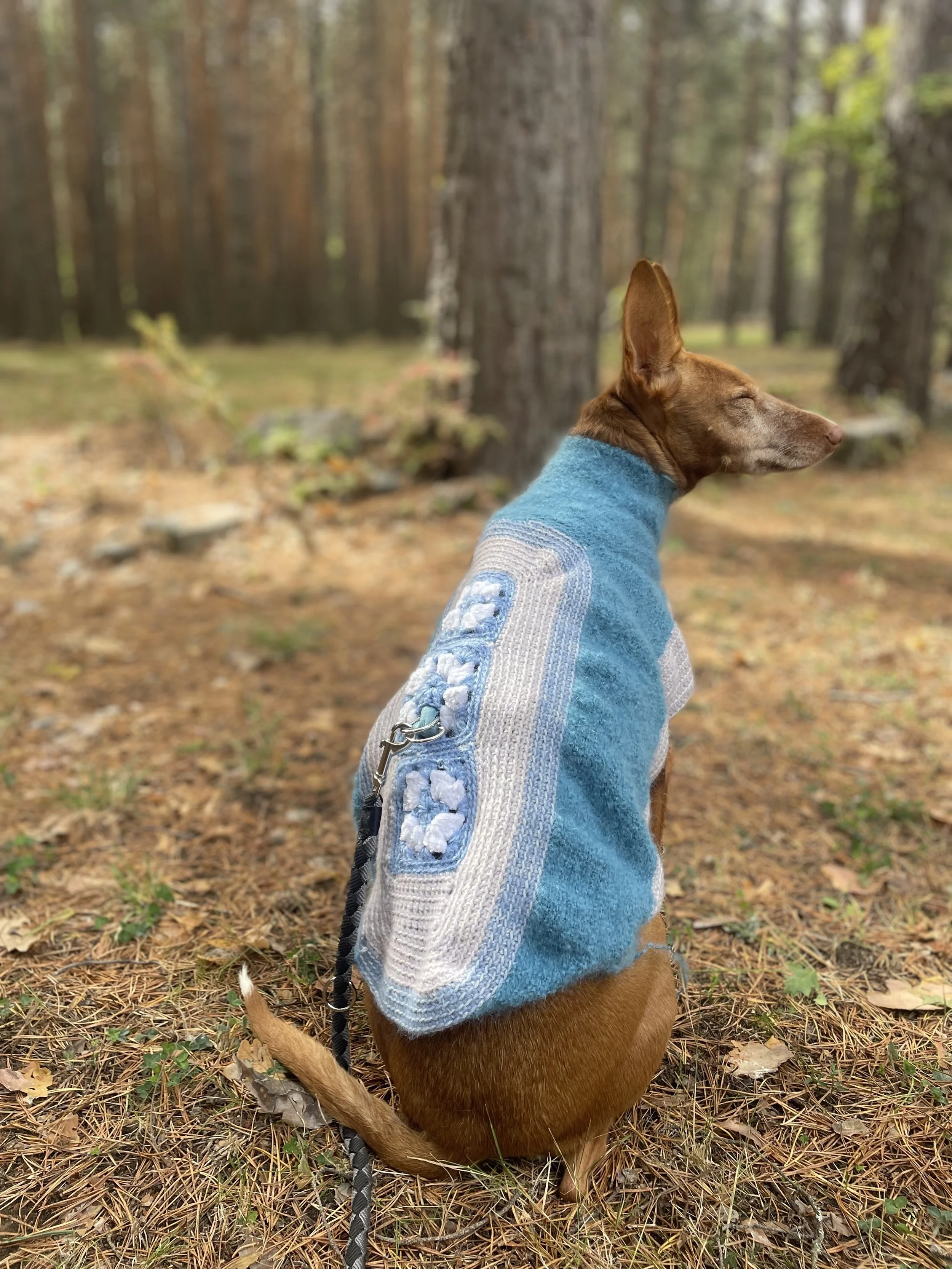 Jersey de Lana para Perros Hecho a Mano