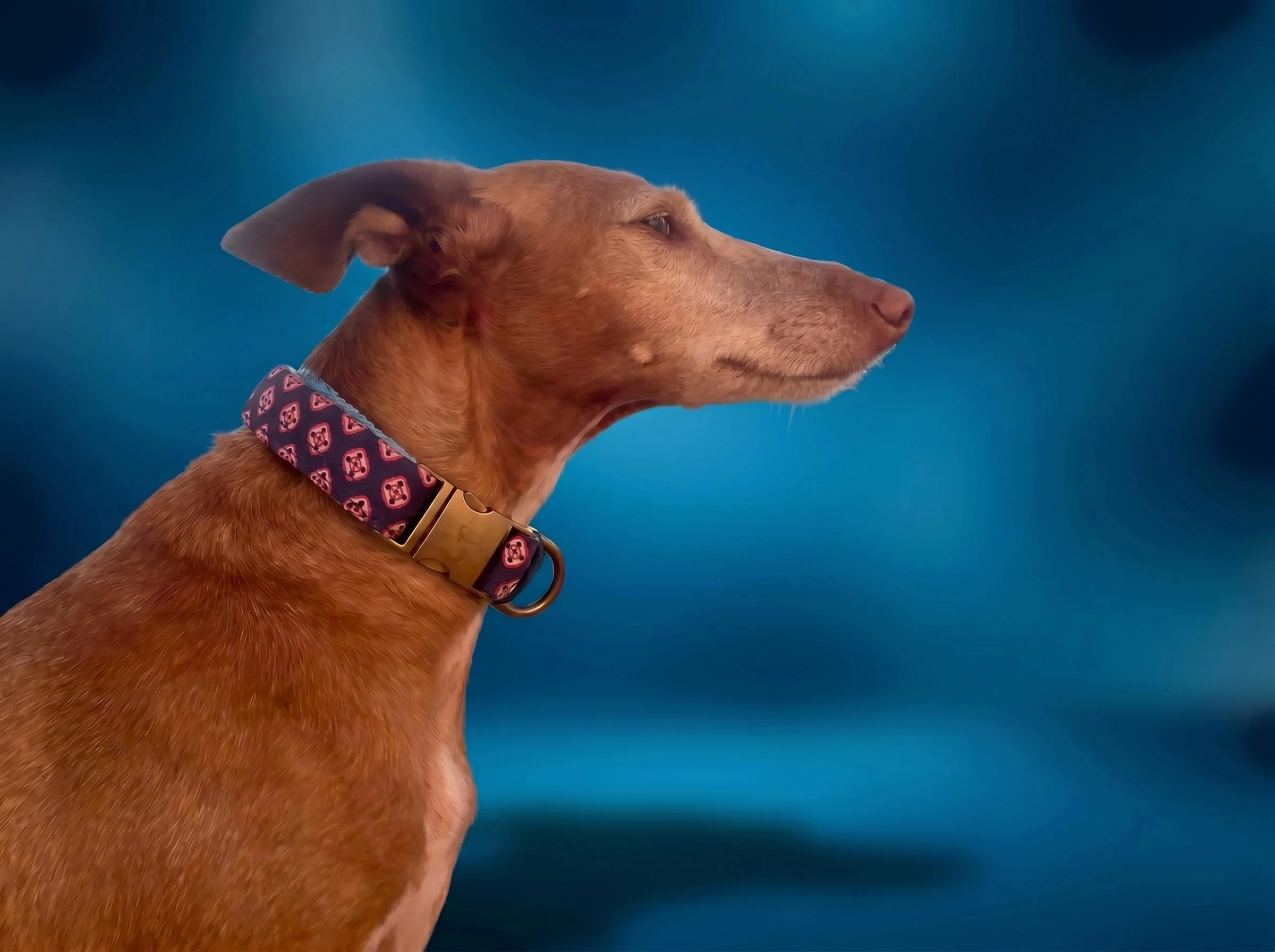 collar Zar 1.jpg