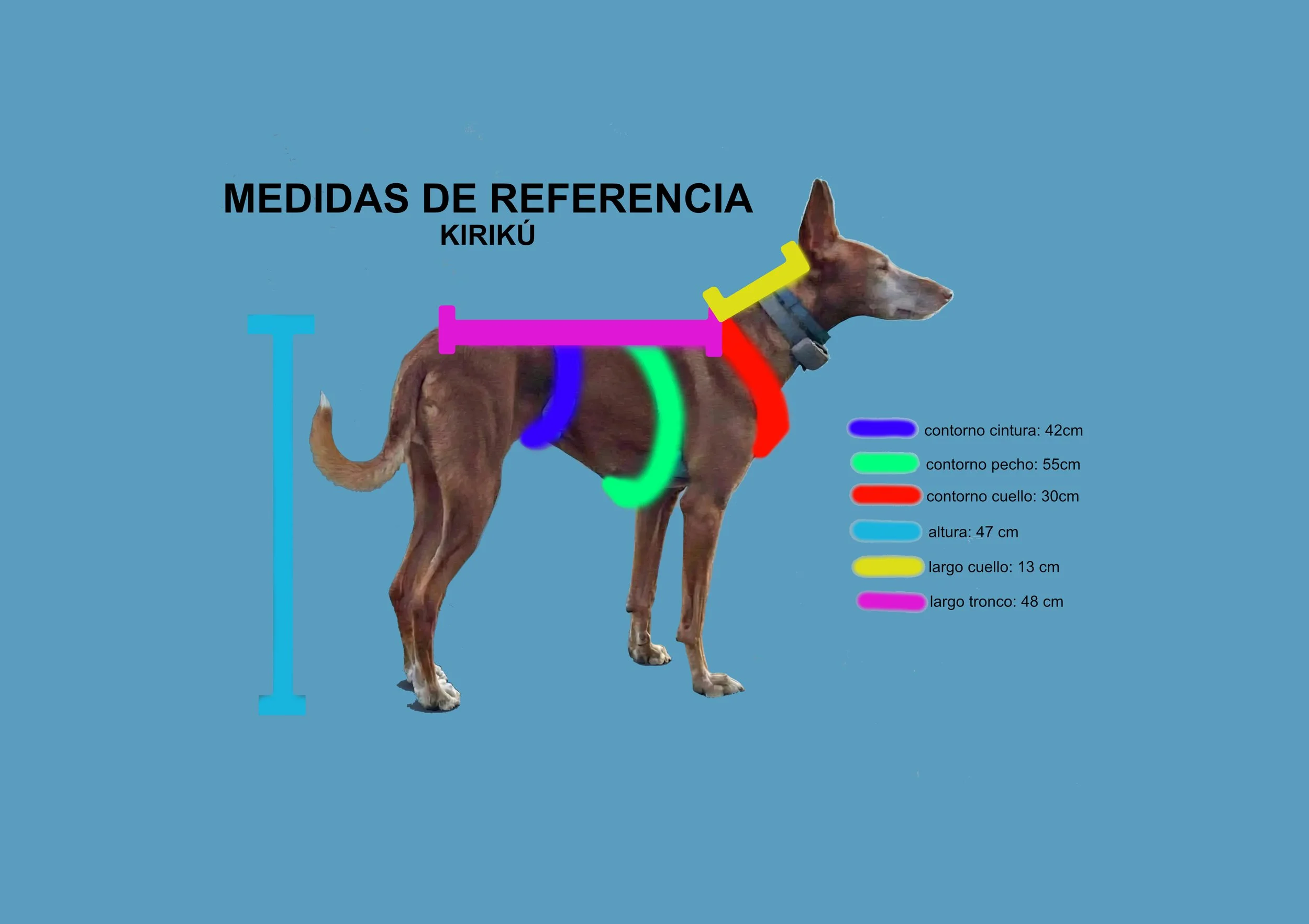 MEDIDAS KIRI DIMZY.jpg