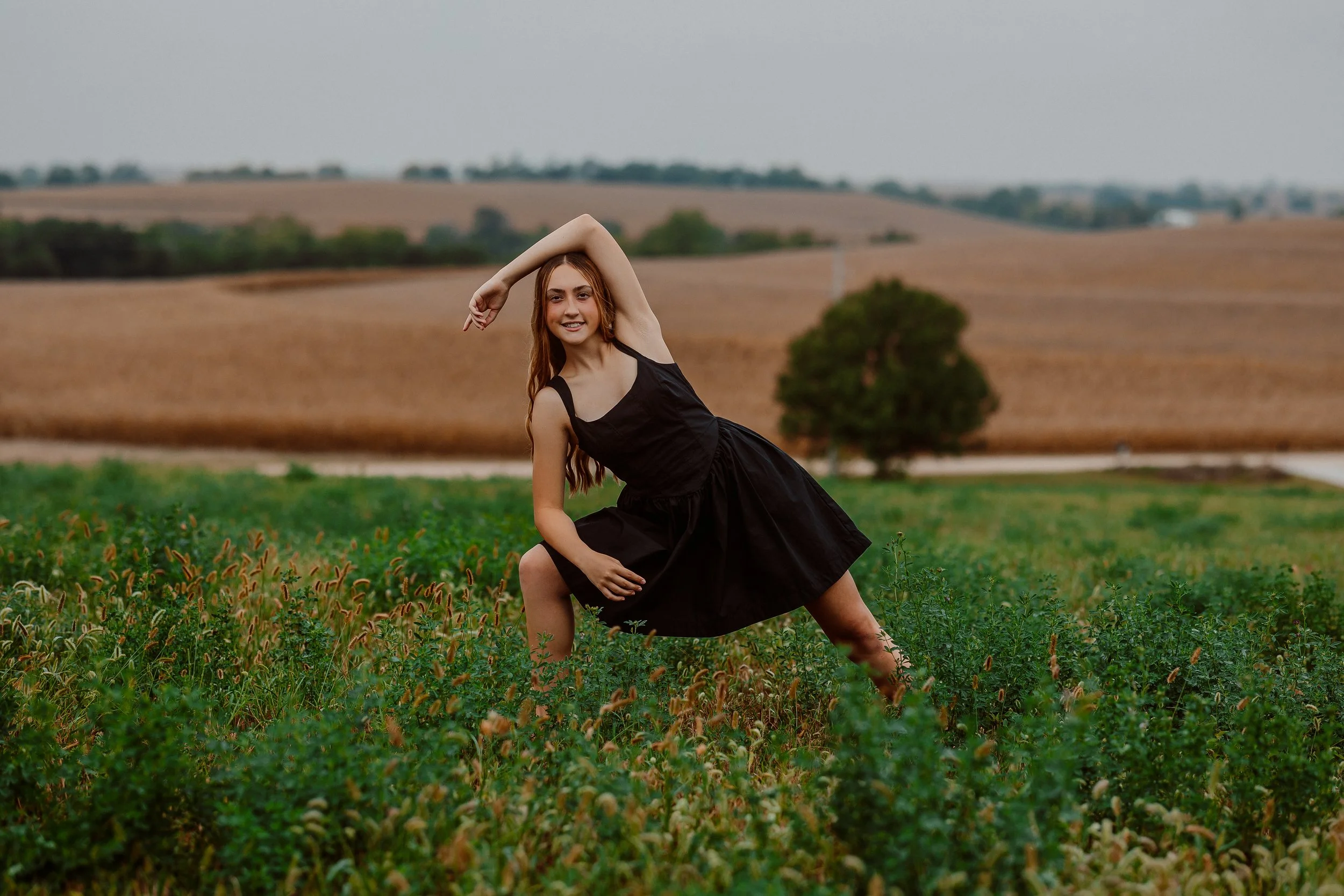 D517-Edit.jpg