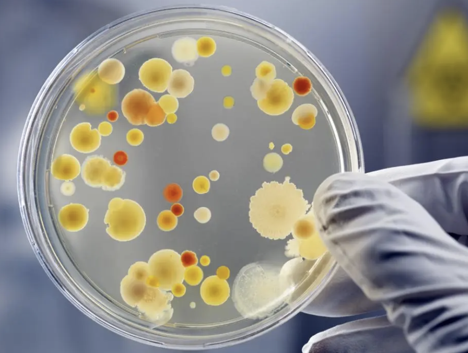 The National Security Threat From Biotechnology 