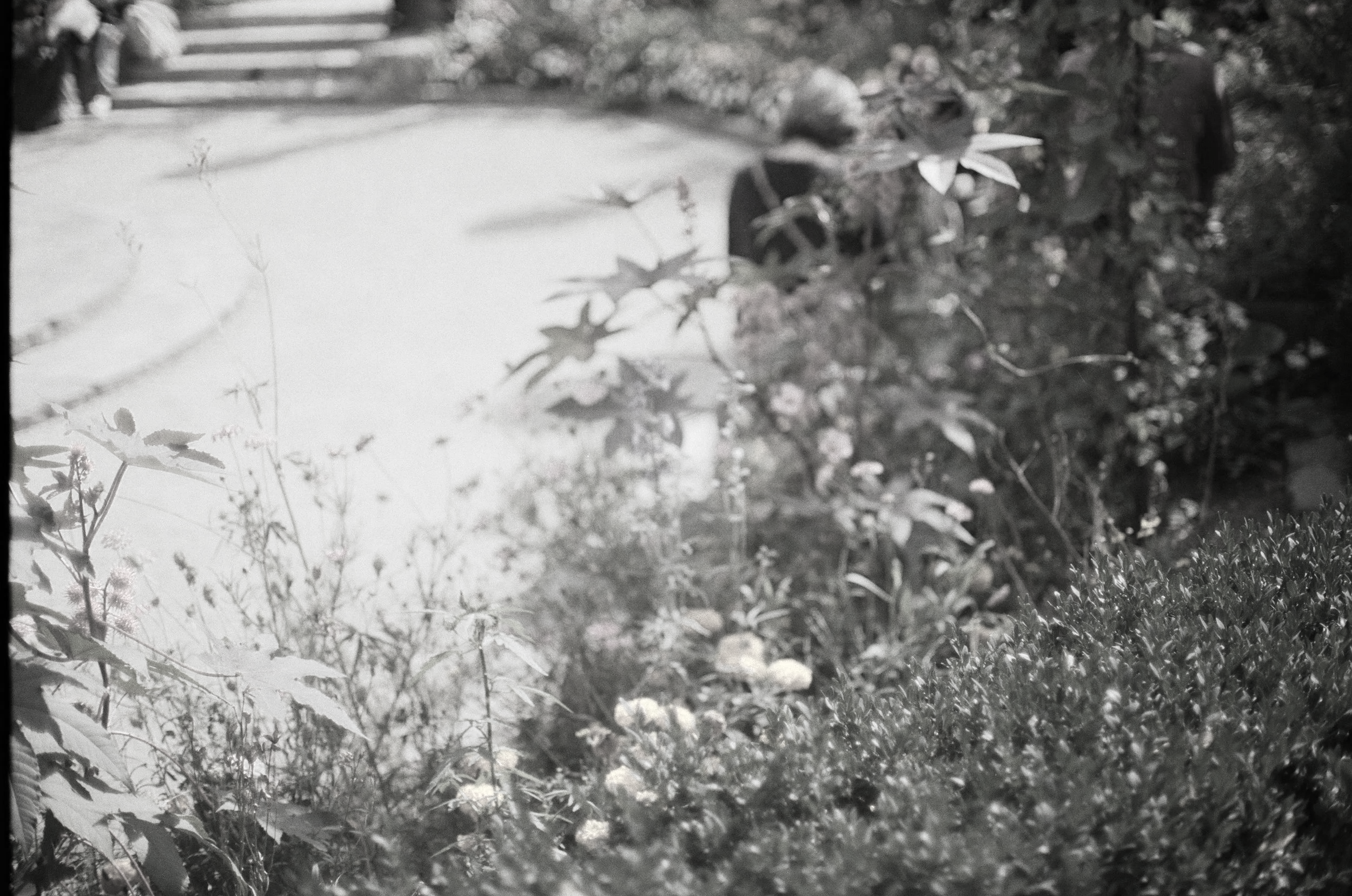 Two women with short curly hair wearing dark clothing and white neck scarves walking and talking along a garden pathway.
