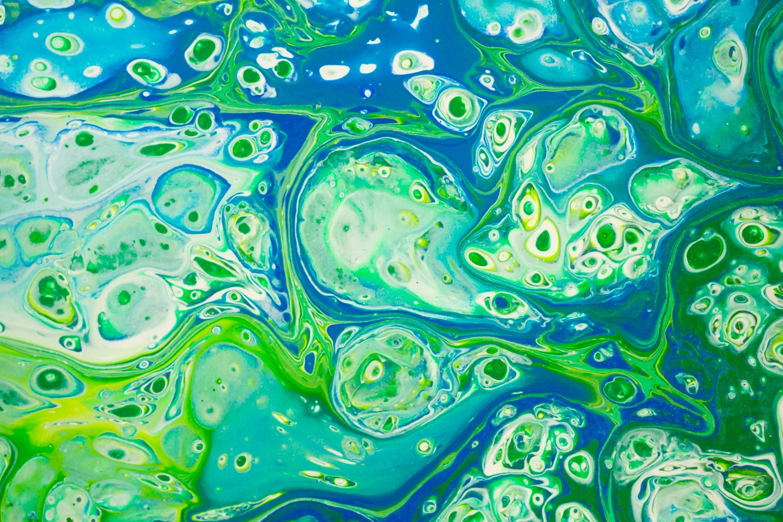 The Most Dollar-Productive Renovations for Your Inner West Home (2026 ROI Guide)