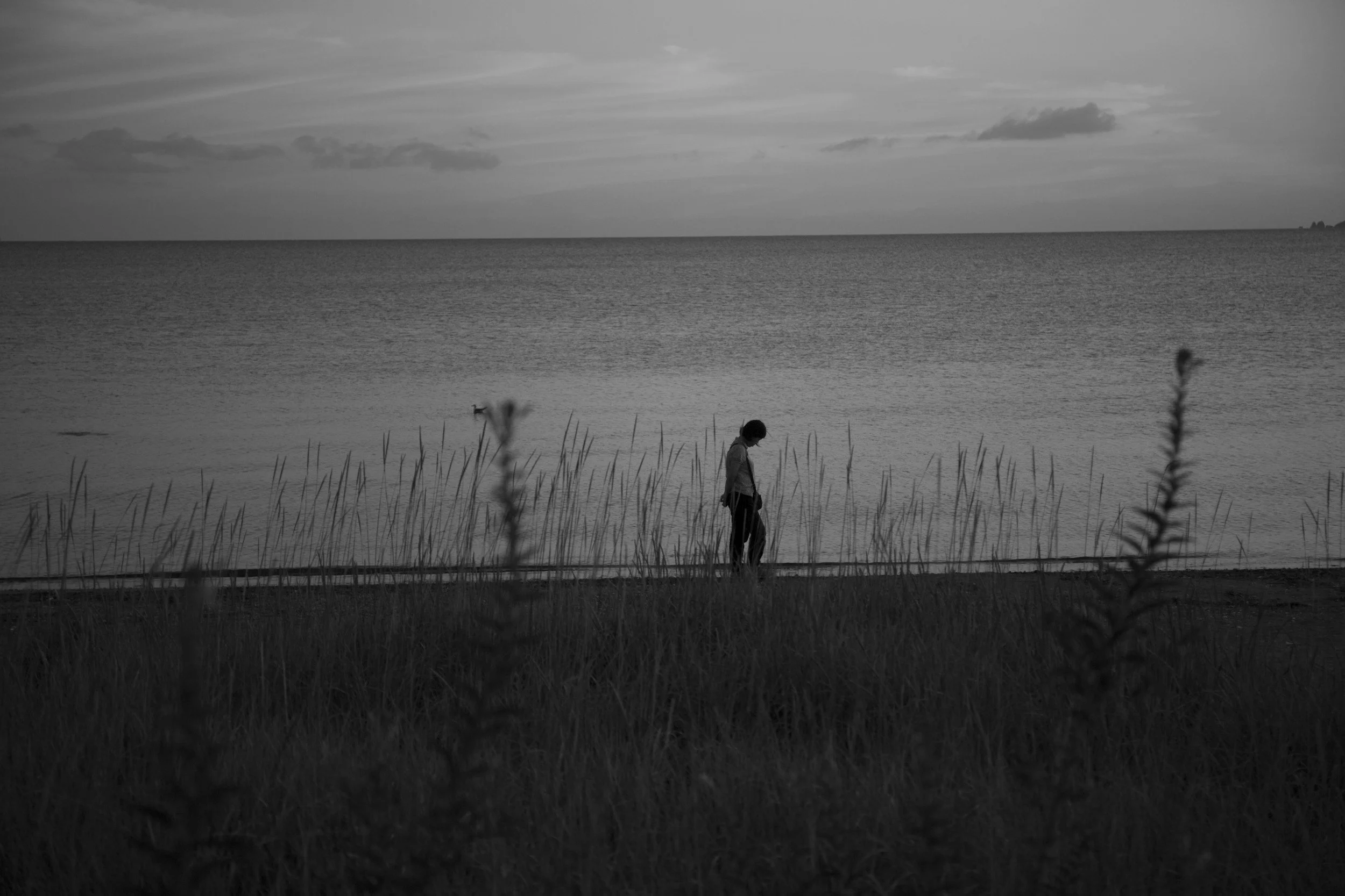 Ranking Inner West Suburbs by How Much People Walk