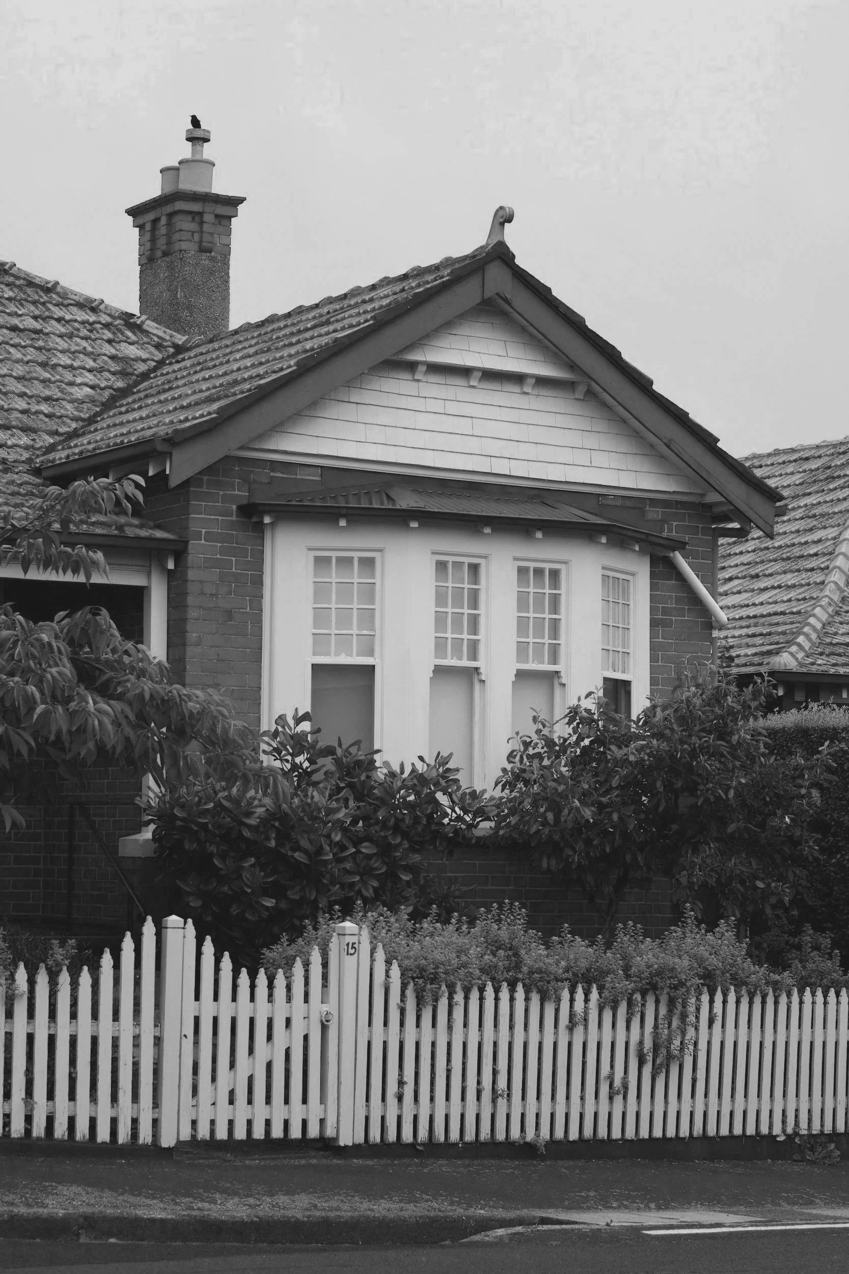 Black and white photo of a Federation-style house with a chimney and white picket fence