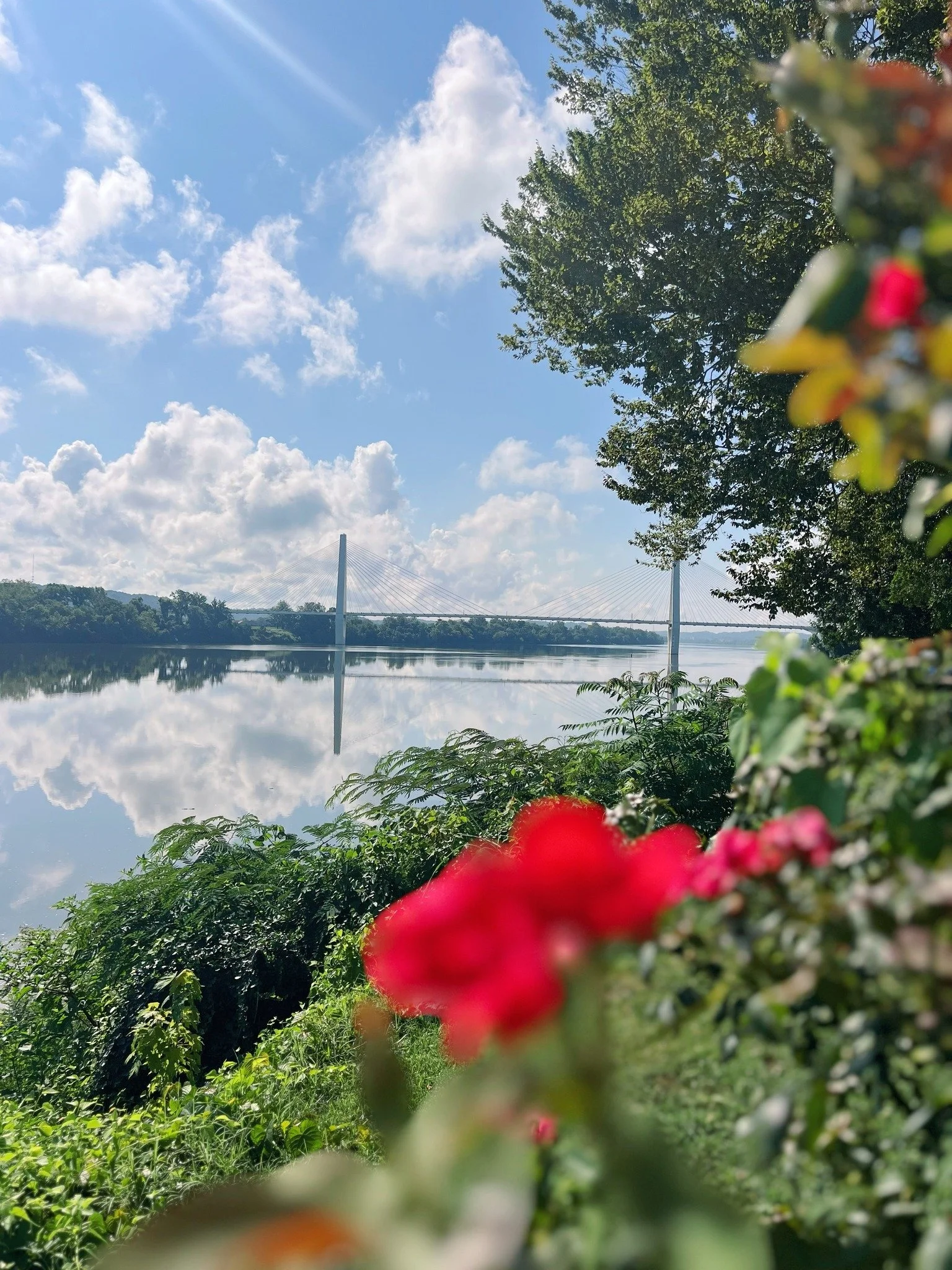 A scenic view of a river with a bridge in the background, surrounded by greenery and a partly cloudy sky, with a blurred red flower in the foreground.