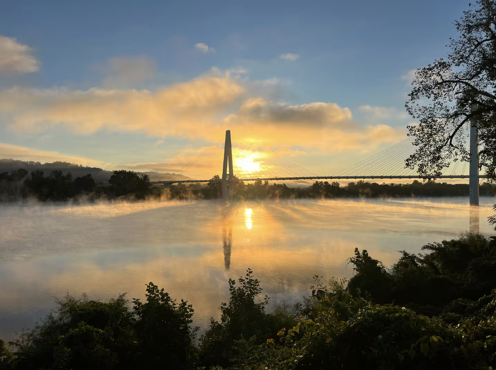 Sunrise over a river with a modern cable-stayed bridge, mist rising from the water, and trees along the riverbank.