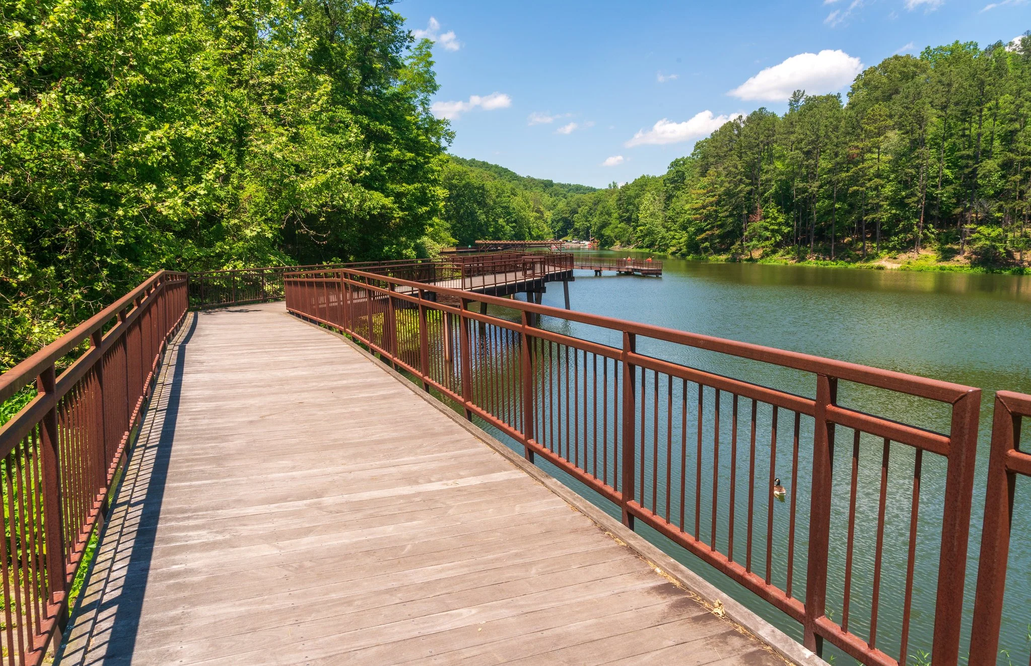 Wooden walkway with brown metal railing along a river surrounded by lush green trees under a partly cloudy sky.