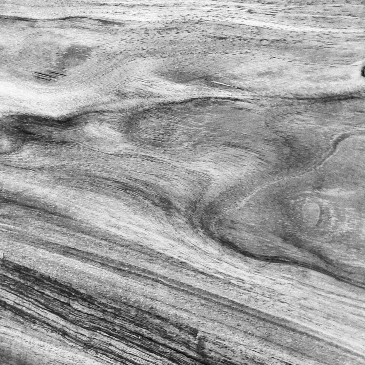 Texto en la imagen que muestra patrones de vetas de madera en escala de gris.