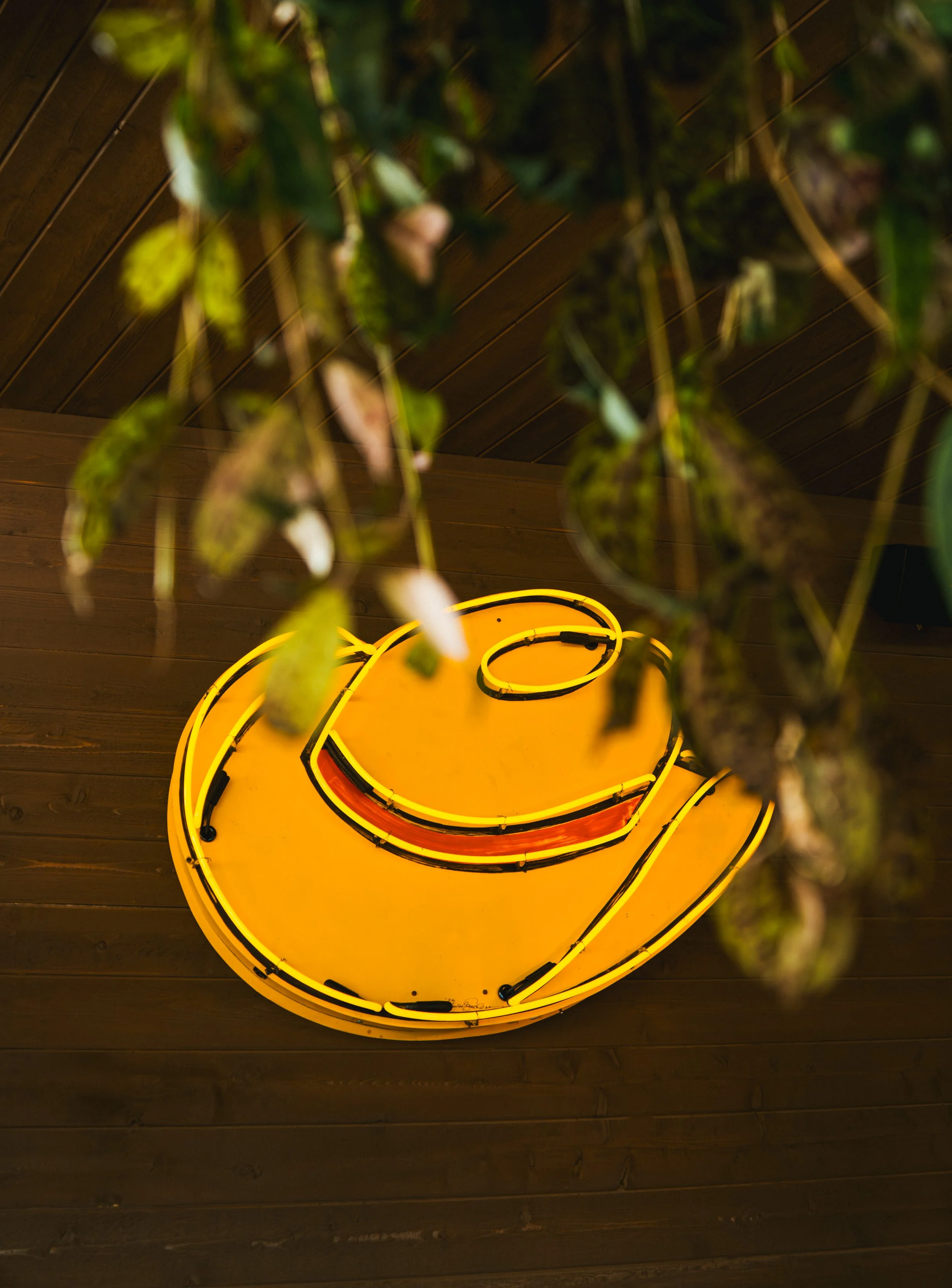 A neon yellow cowboy hat sign viewed from above, with green leafy plant branches hanging in the foreground.