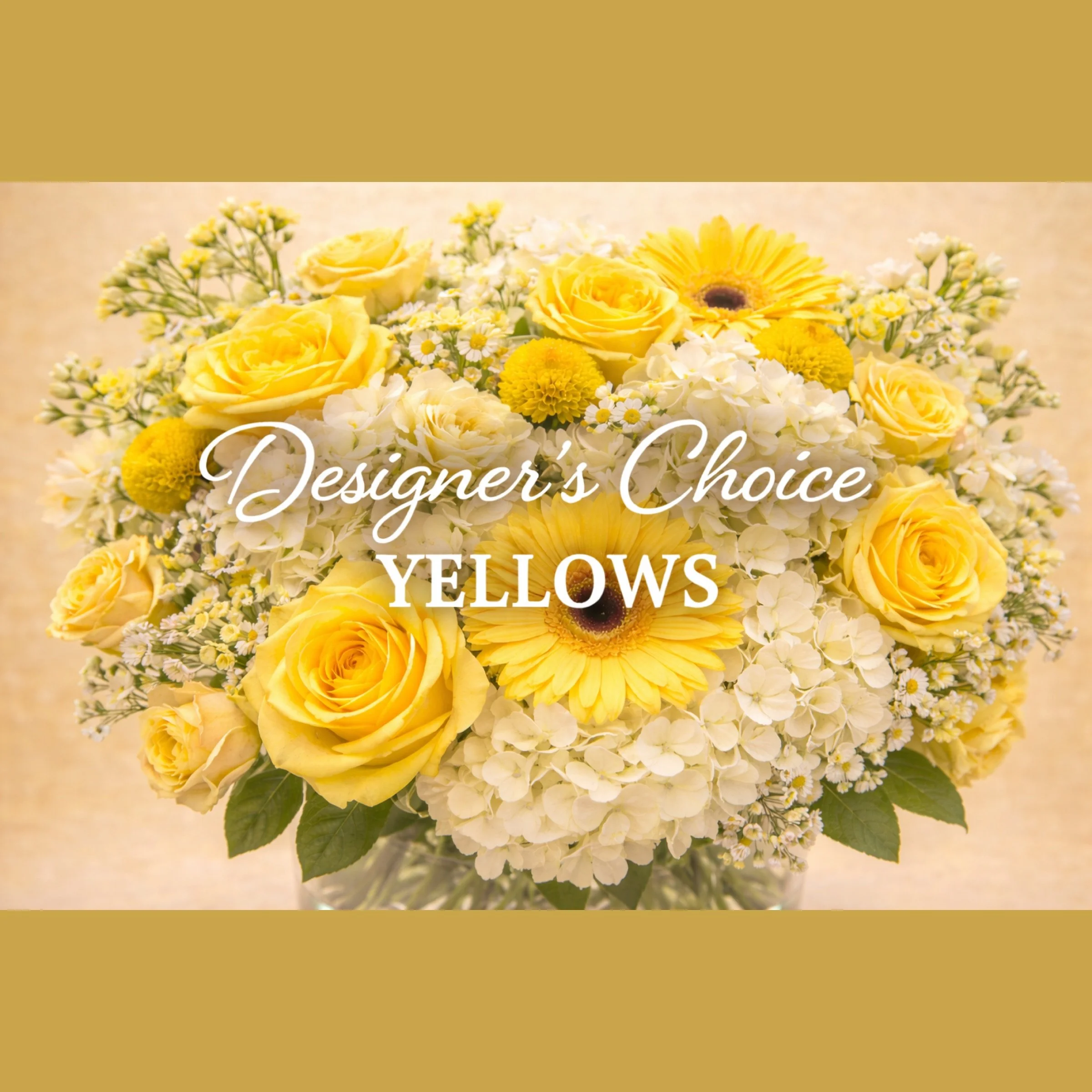 Yellow Designer's Choice