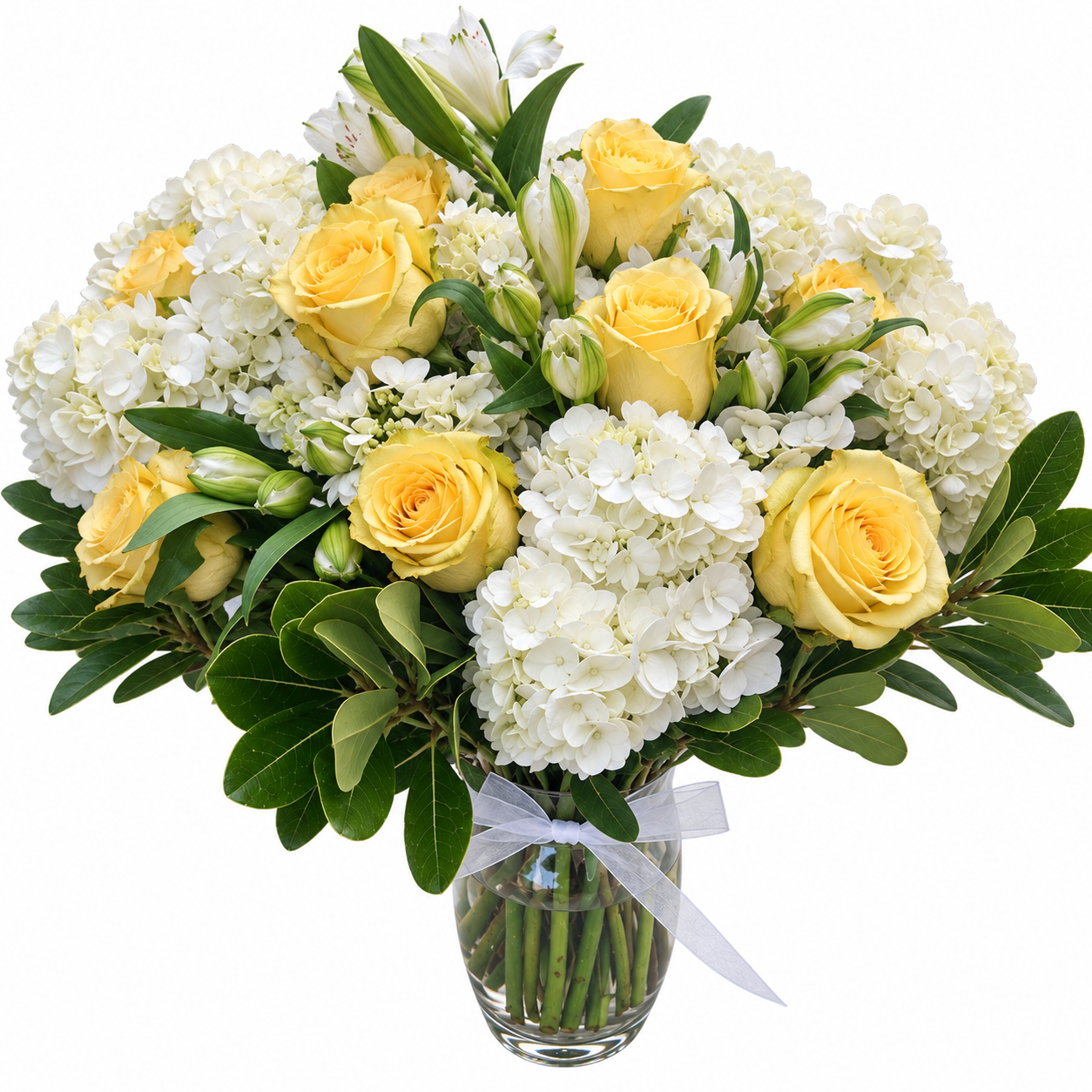 482B1450-830C-444A-A693-E1CC8A0FF1F7 (1).PNG