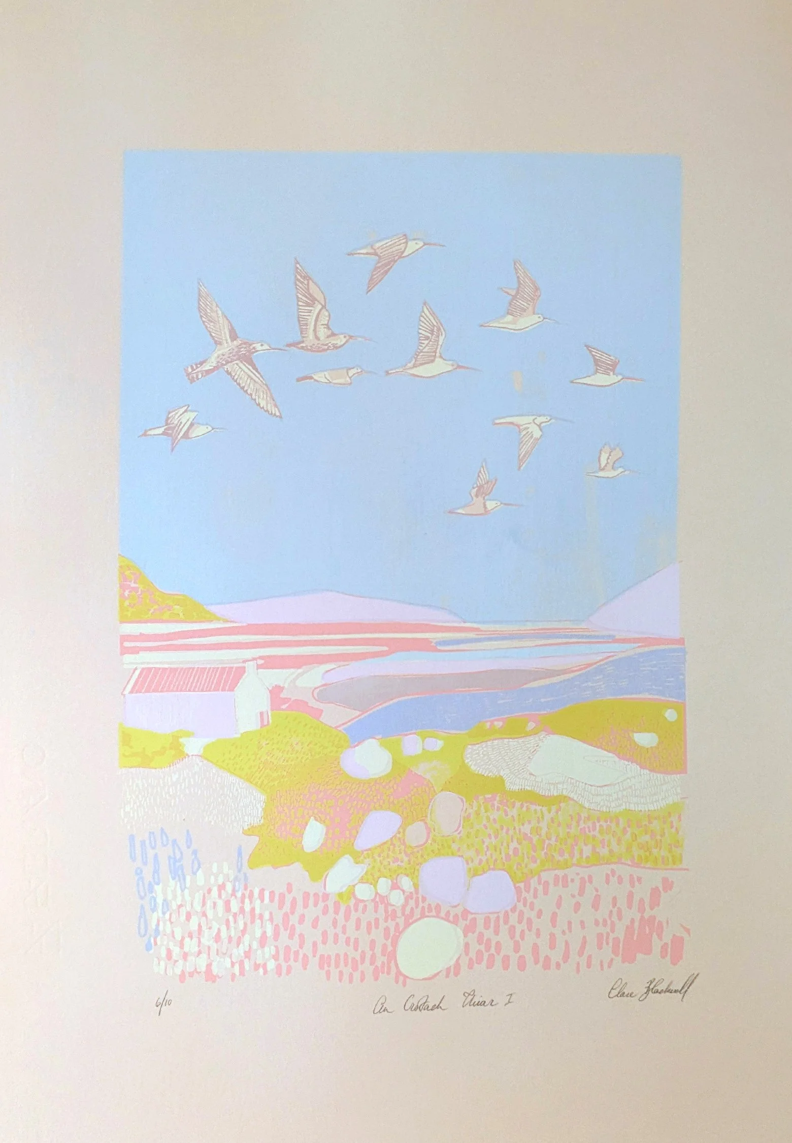 An Crotach Thiar 1 / Western Curlew 1