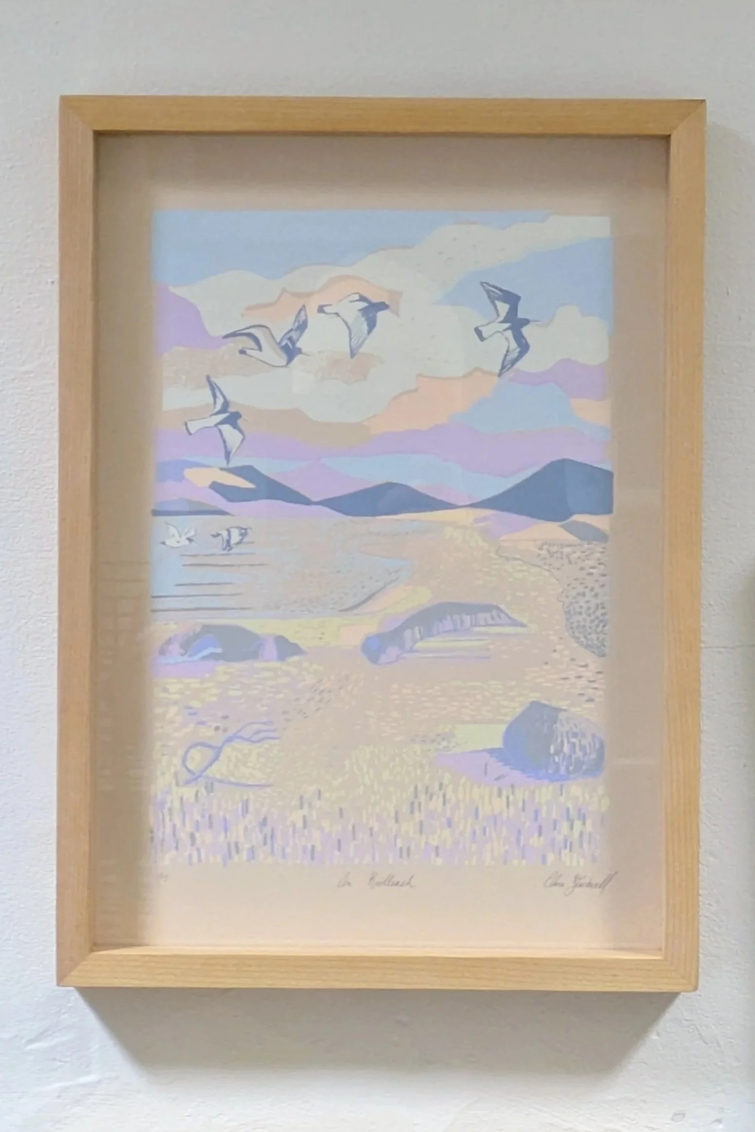 An Roilleach / Oyster Catcher