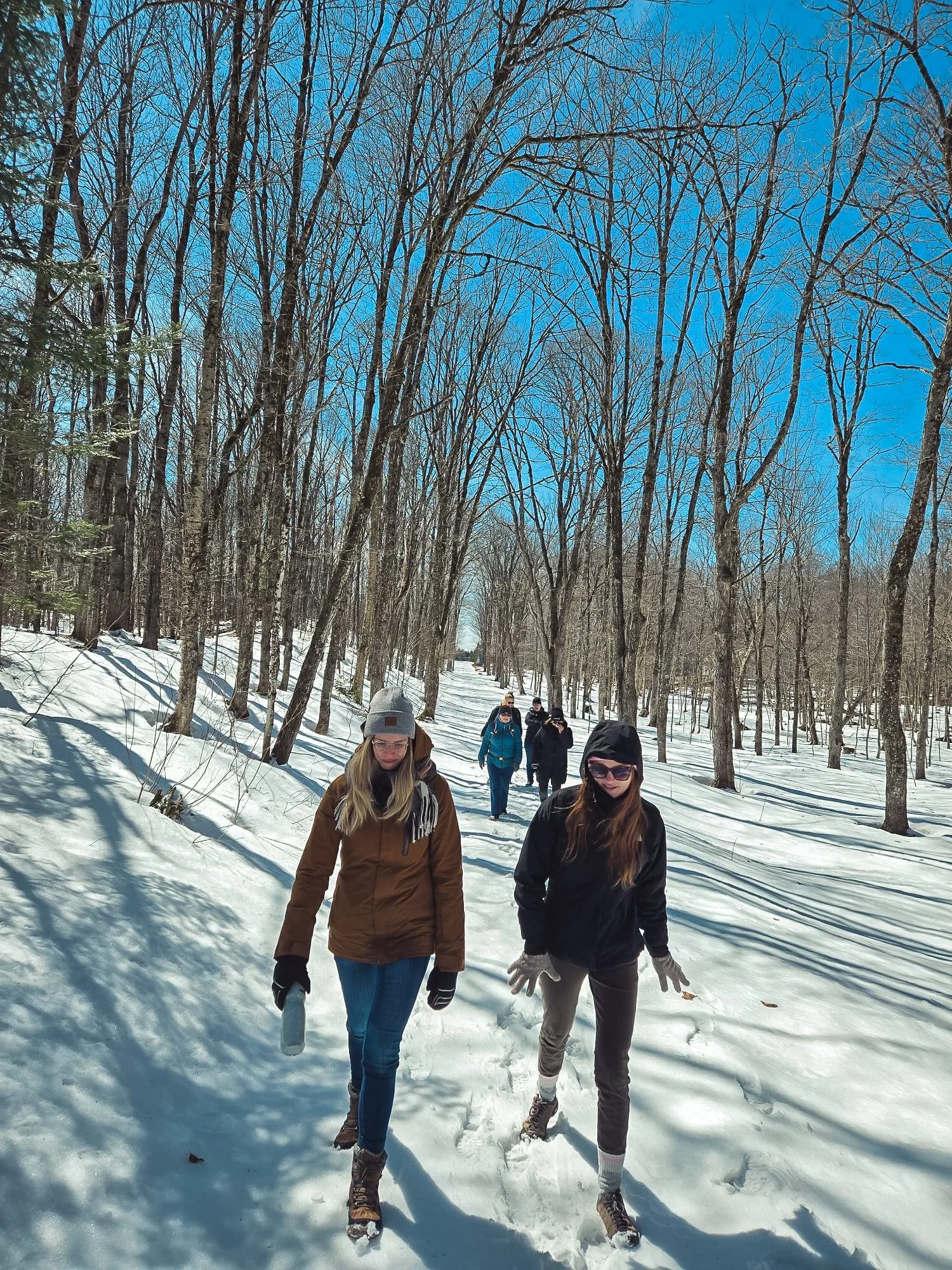 Groupe de quatre personnes marchant dans une forêt enneigée par une journée ensoleillée, avec des arbres dénudés et un ciel bleu clair.