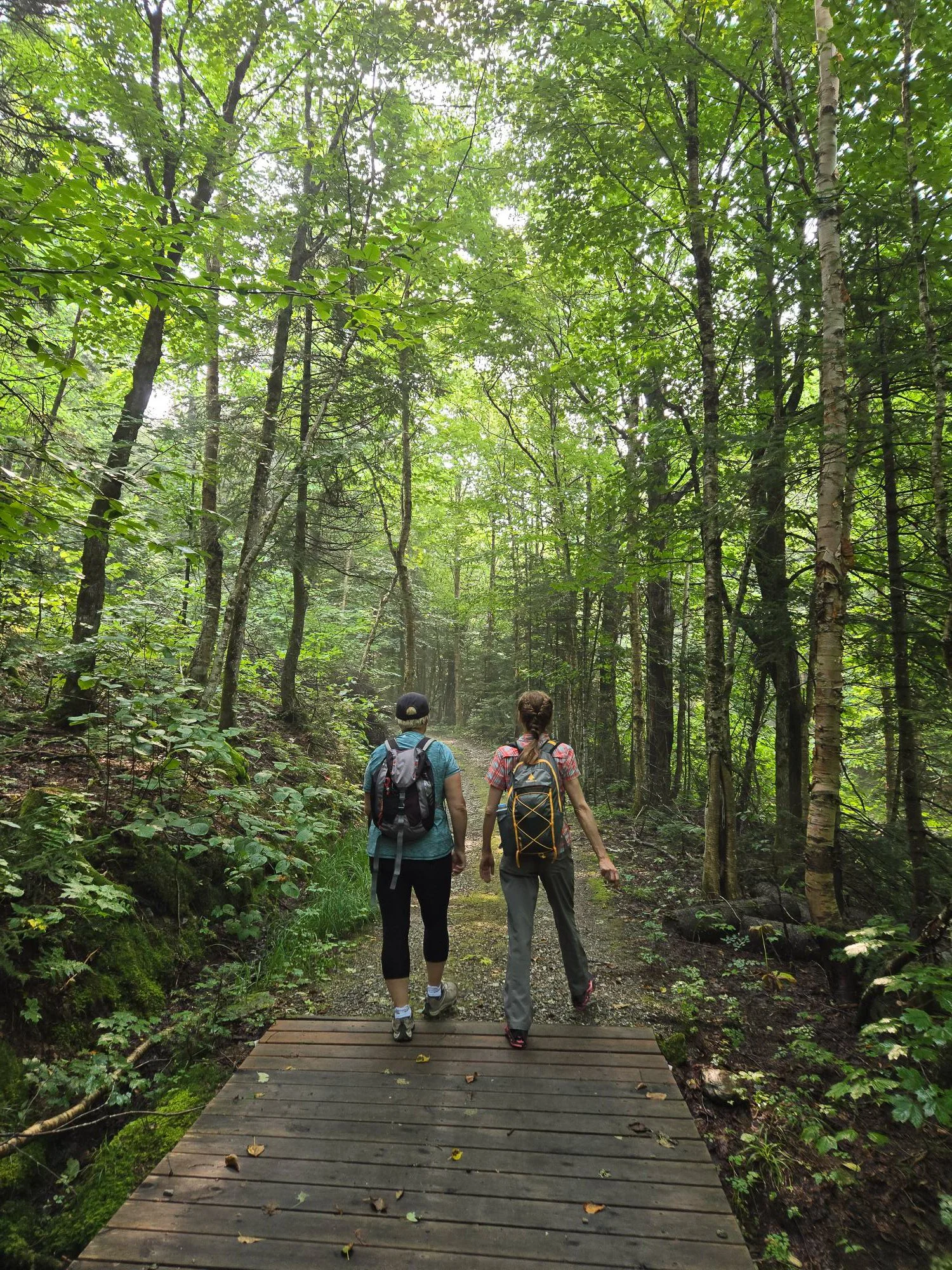 Deux personnes avec des sacs à dos marchent sur un sentier en forêt dense et verte.