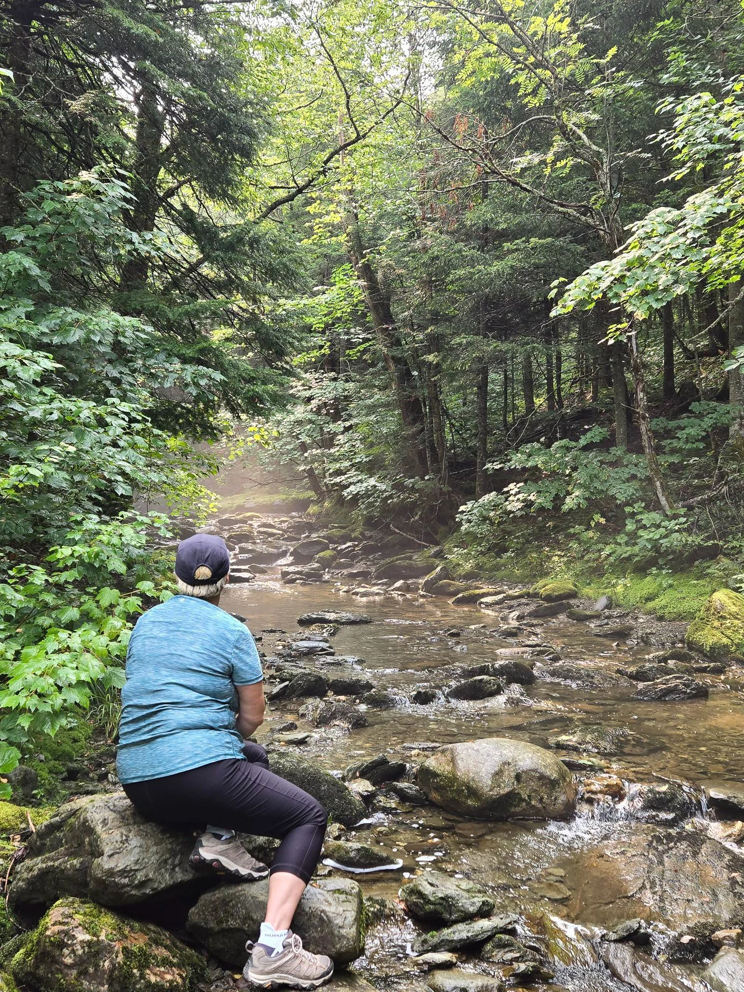 Une personne assise sur une roche au bord d'une rivière dans une forêt dense, entourée d'arbres verts et de feuillage.