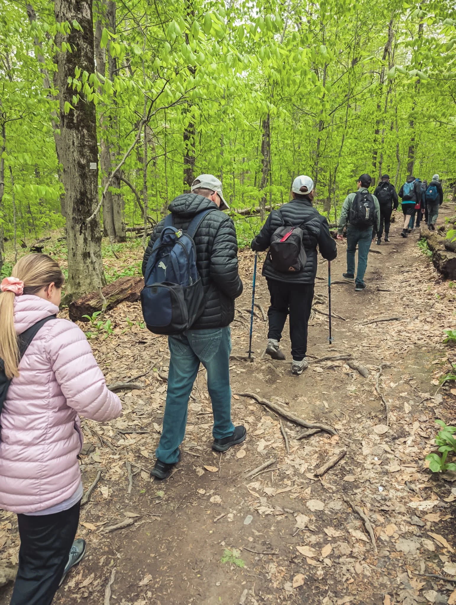 Groupe de personnes en randonnée dans une forêt verte avec des sentiers, des arbres et des feuilles au sol.
