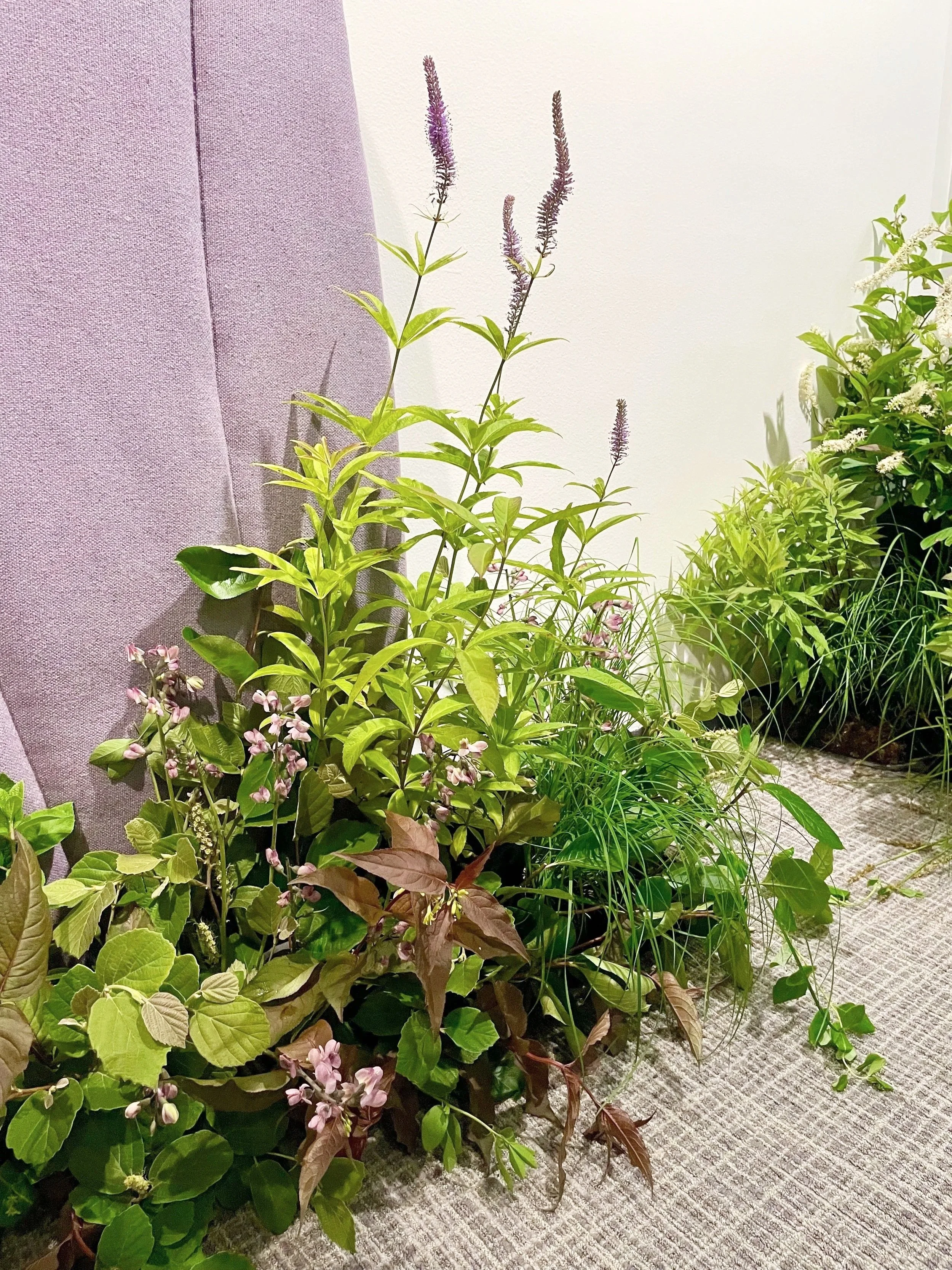 Floral color and texture compliment sustainable wool textiles and battle the monotony of conference center carpeting