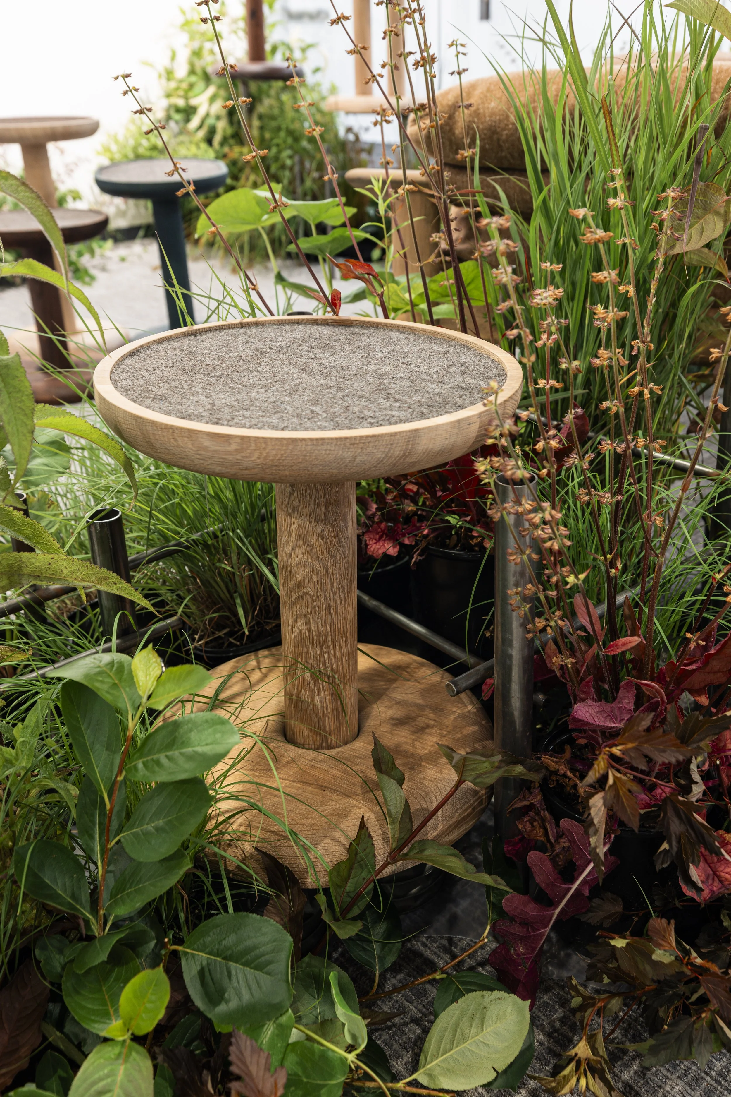 Featured pieces from the Okaterra regenerative furniture line nestled into an "indoor garden" of Eastern US native species.